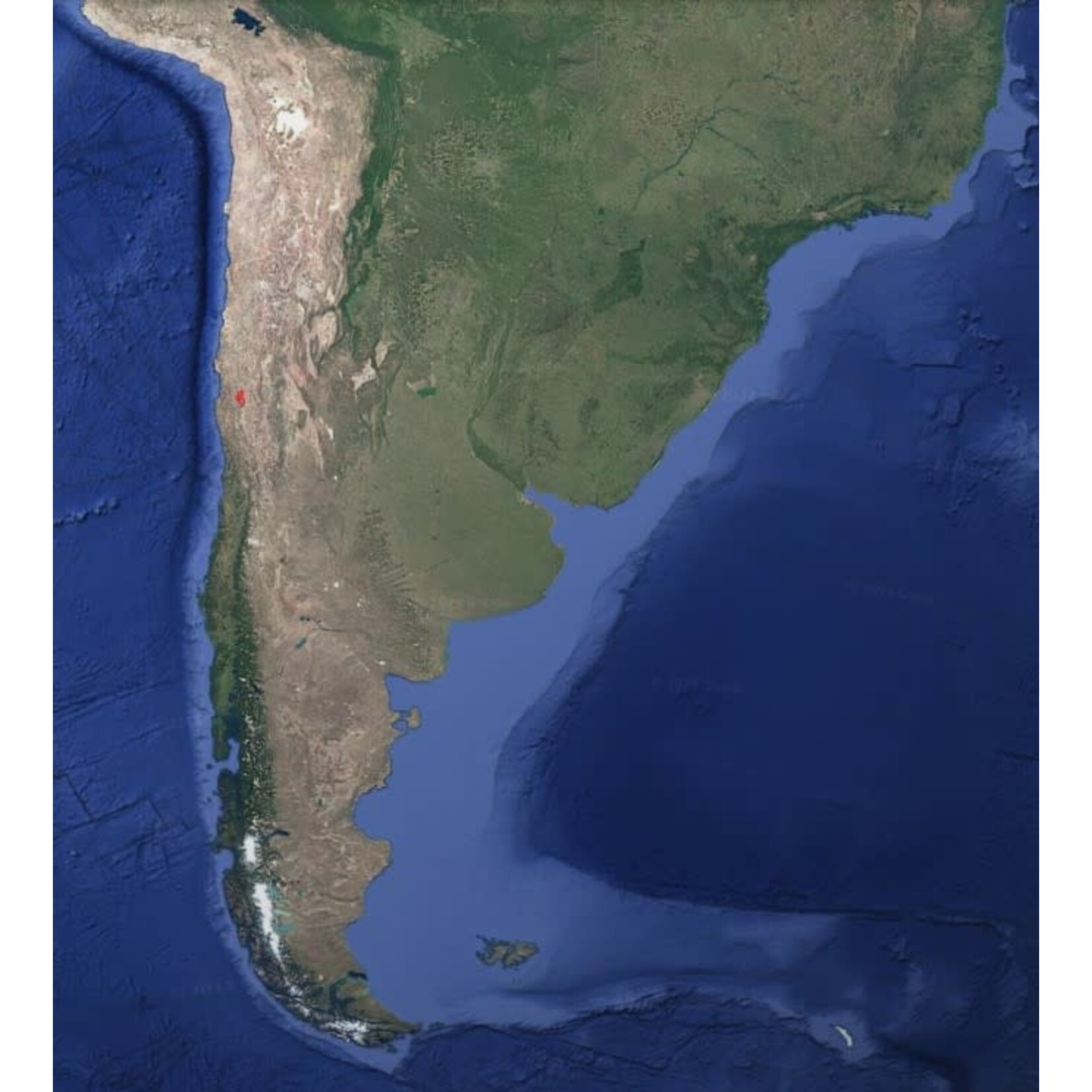 Elqui Wines Elqui Wines Syrah 2018 Elqui Valley Coquimbo Chile