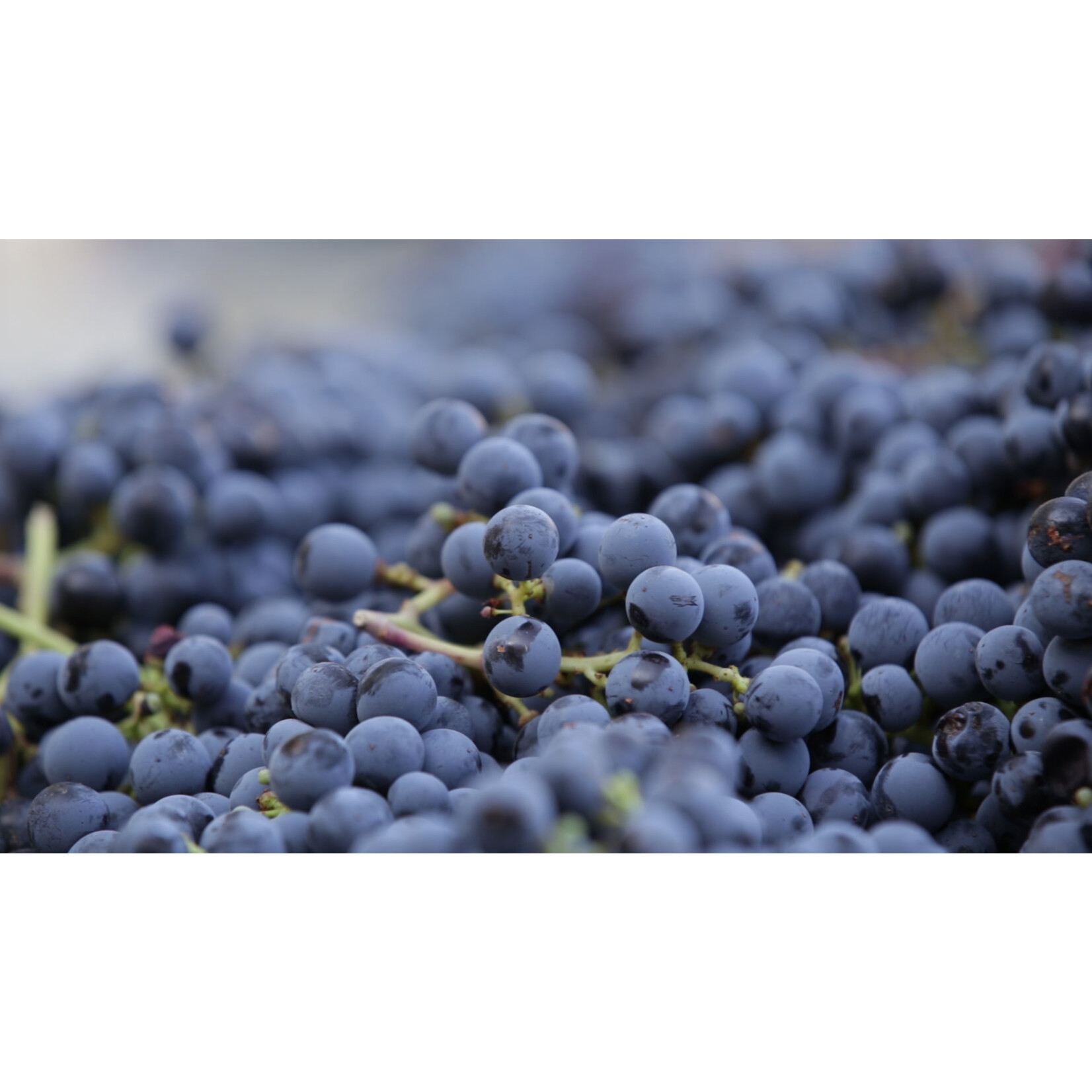 Maryhill Cabernet Franc 2019 Columbia Valley Washington