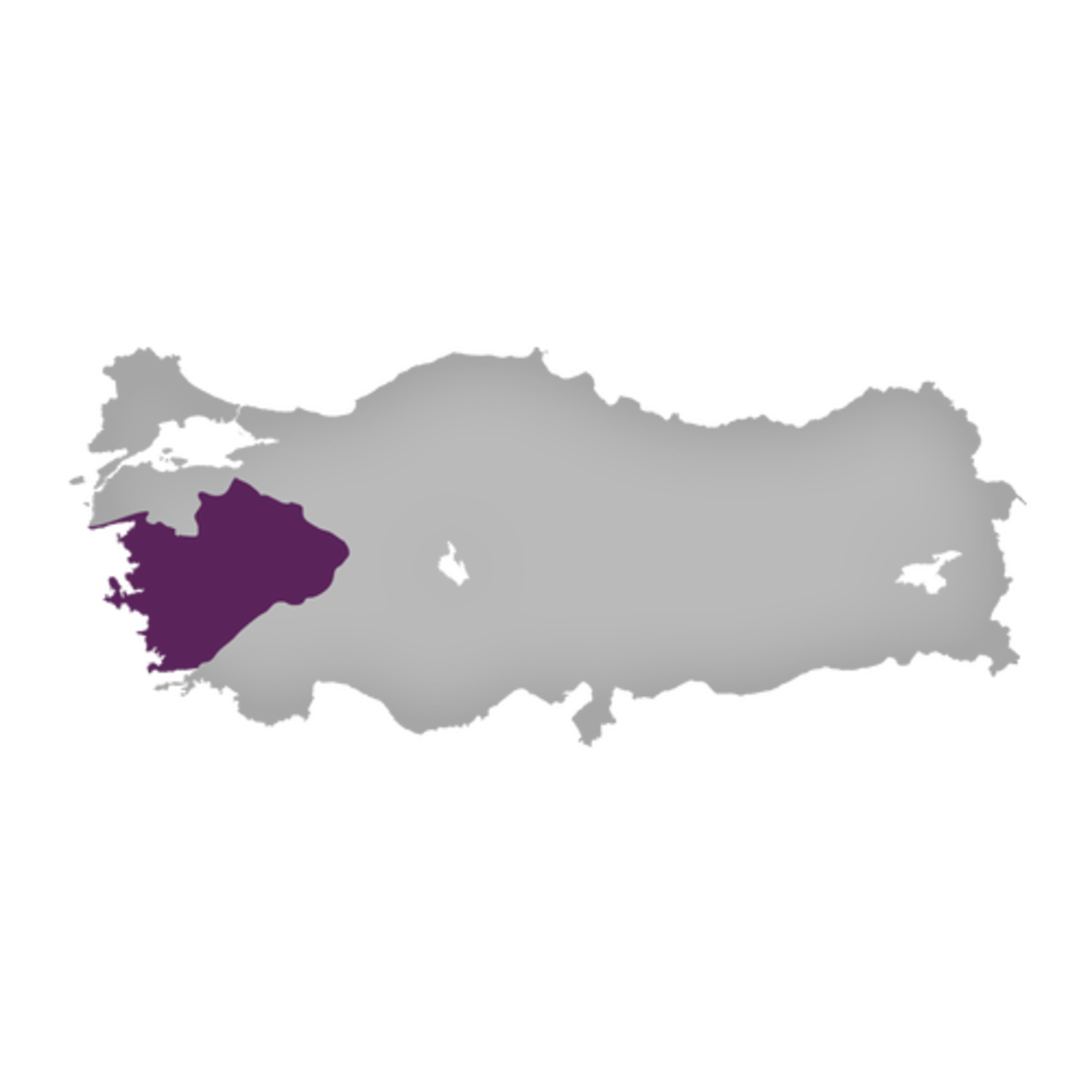 Pasaeli Aegean Calkarasi Seahorse Rose Turkey 2023