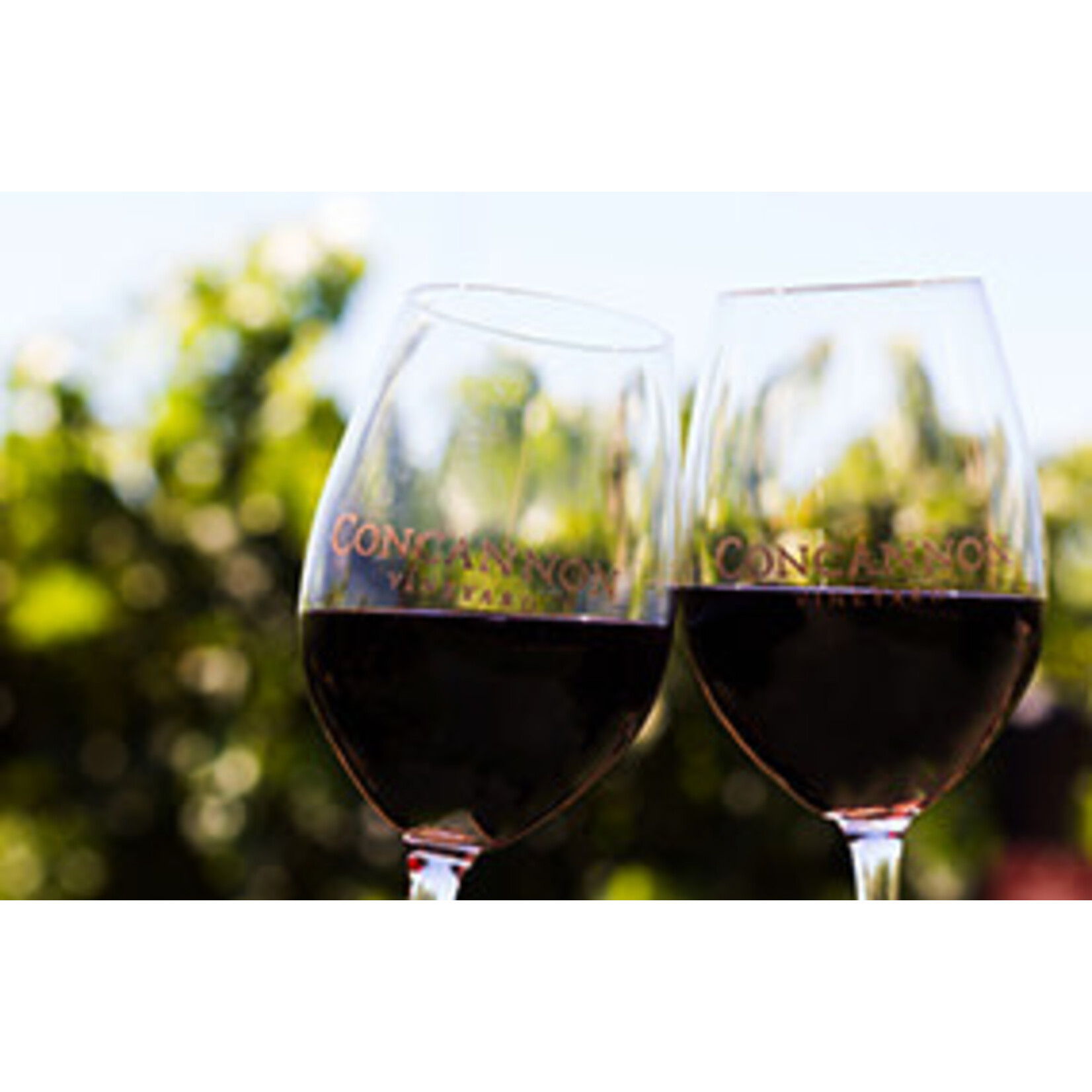 Concannon Concannon Vineyard Founders Cabernet Sauvignon 2021 Paso Robles  California