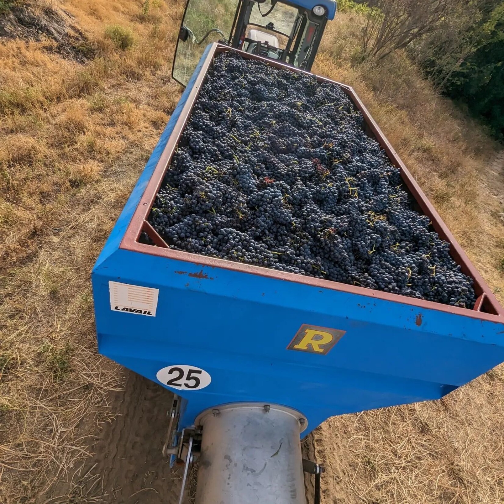 Les Petits Ducs Cote Du Rhone GSM Red Rhone France