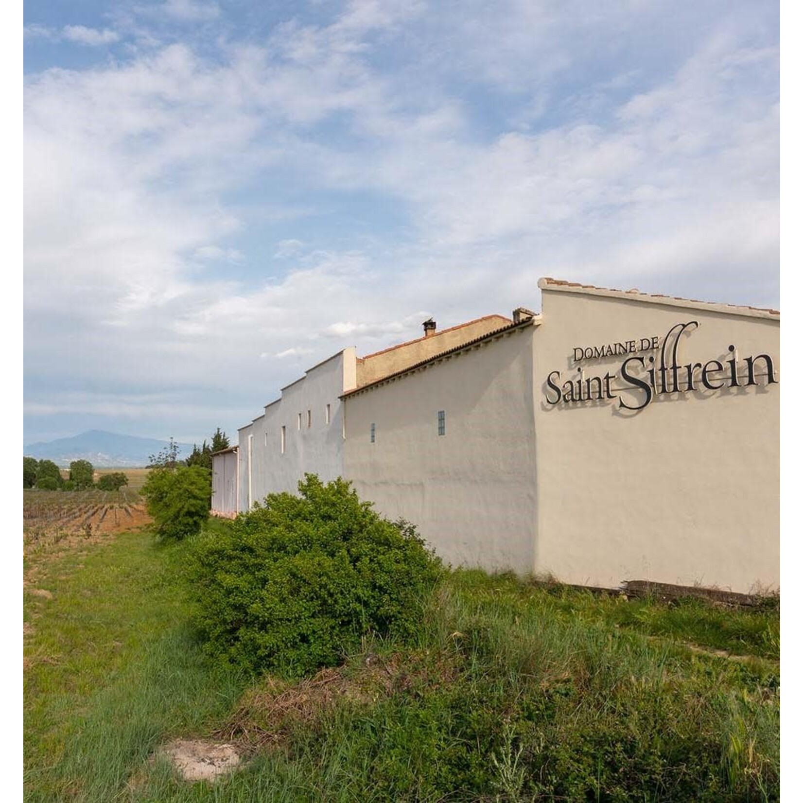 Domaine de Saint Siffrein Chateauneuf du Pape Red 2020 France