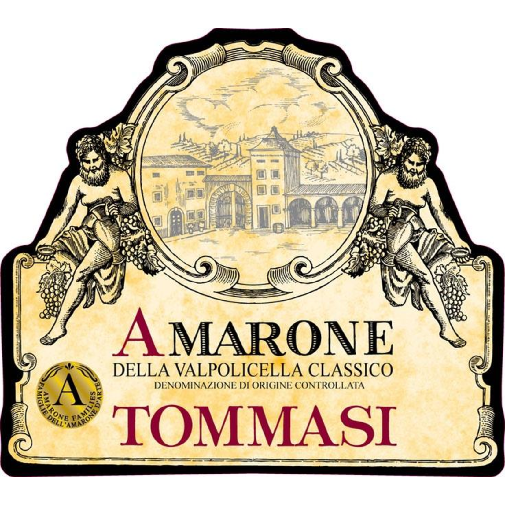 Tommasi Tommasi Della Valpolicella Classico Amarone 2019  Veneto, Italy                                       bff125
