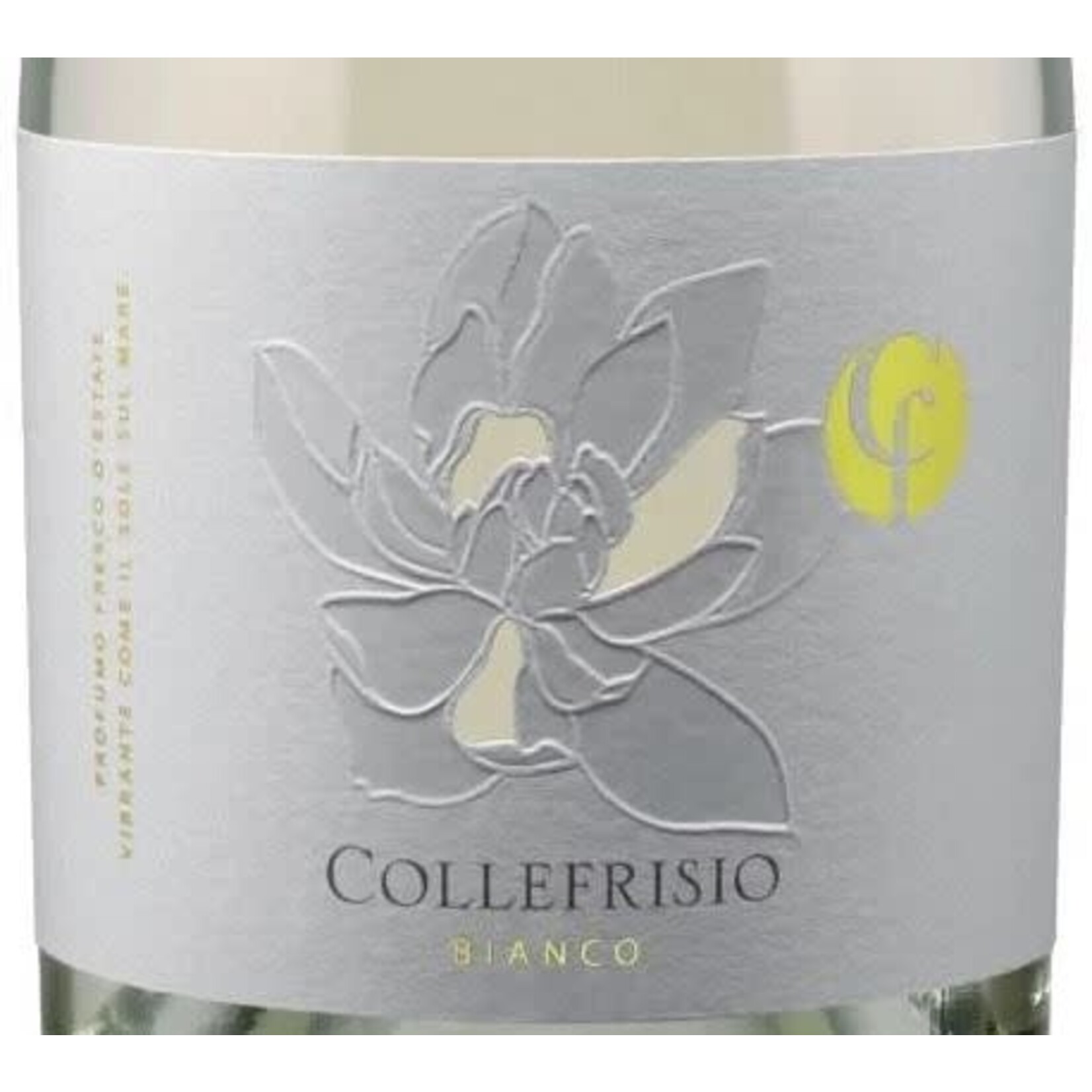 Collefrisio Collefrisio Terre di Chieti IGT Magnolia Bianco 2022  Abruzzo Italy