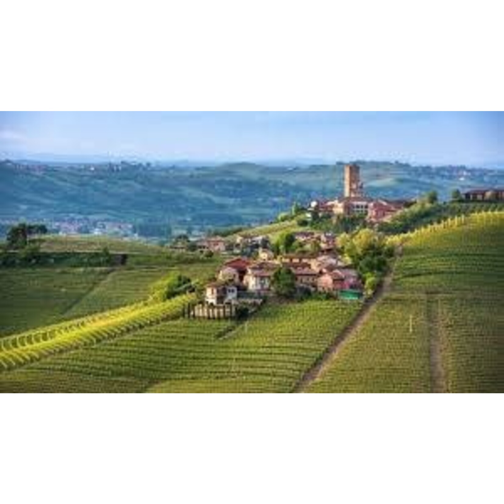 Quercia nelle Langhe Barbera Piemonte Italy