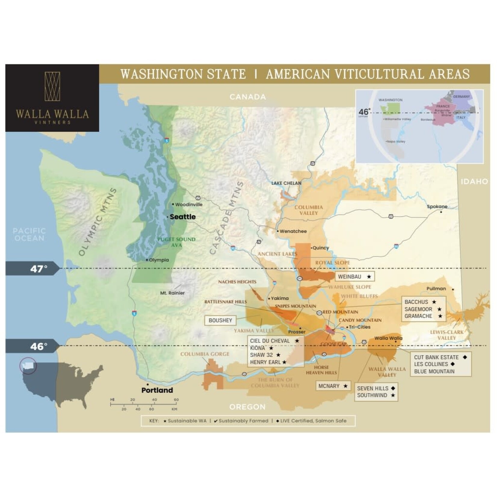 Walla Walla Vintners Merlot Walla Walla Washington
