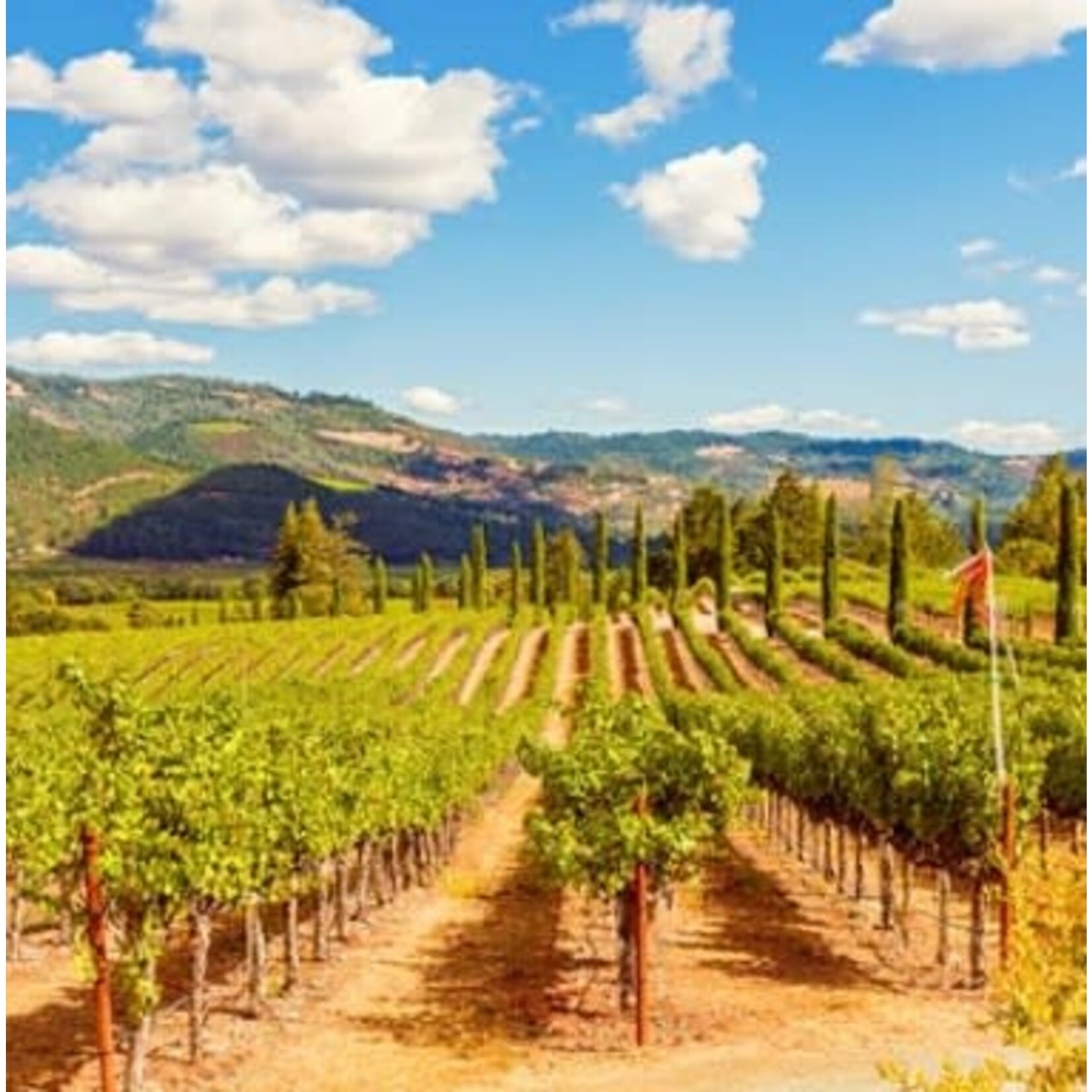 Folds of Honor Sauvignon Blanc 13 Stripes Winery California