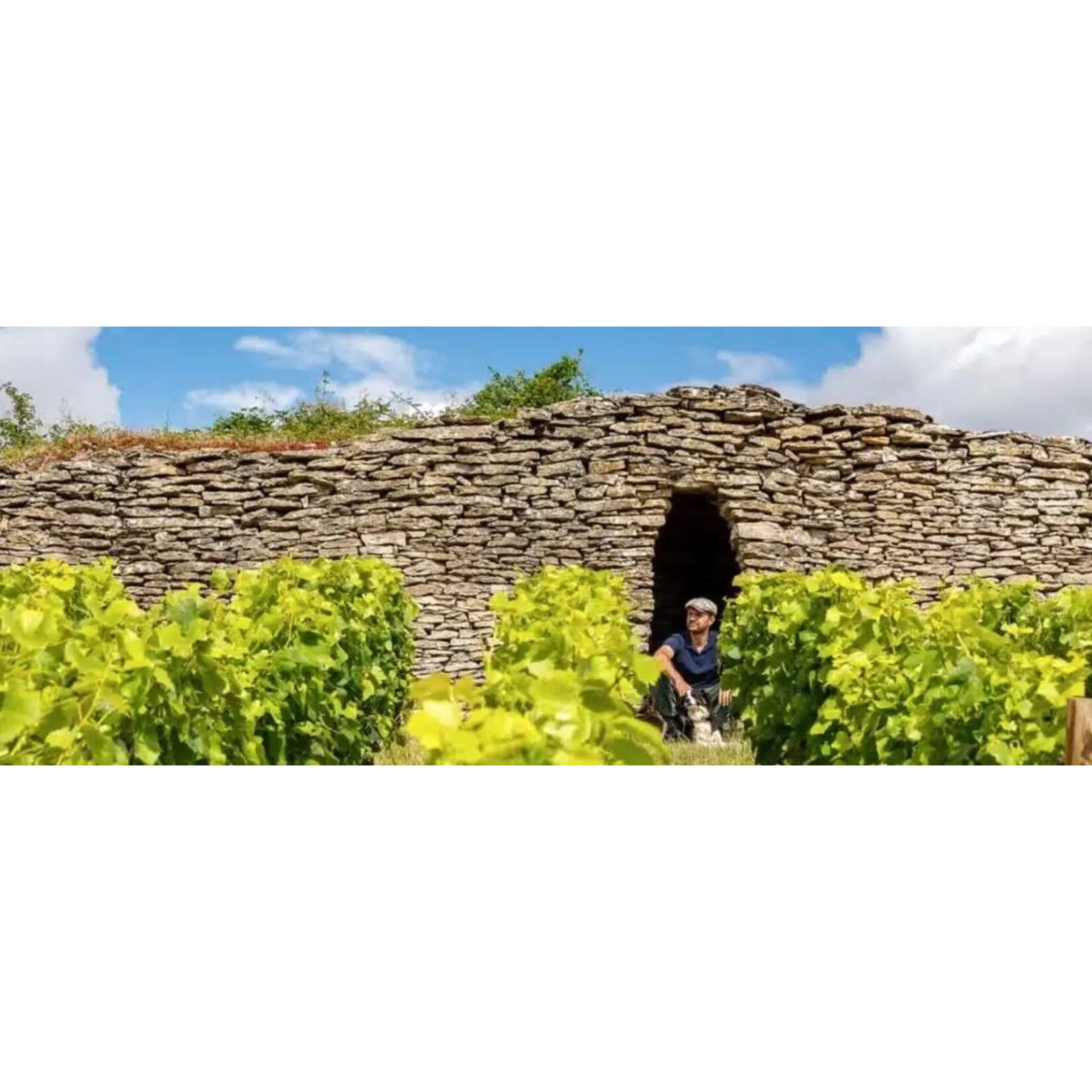 Domaine Chofflet Givry Heritage Rouge 2022 Burgundy France