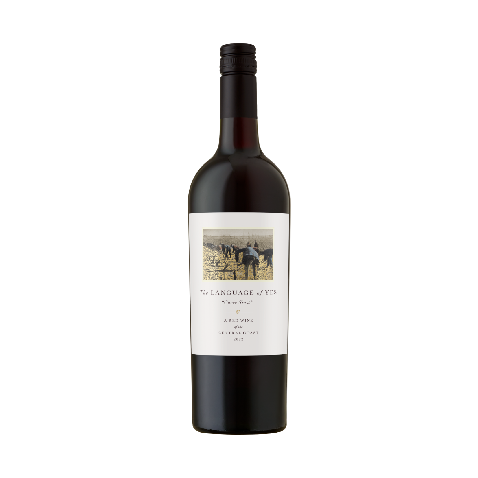 Randall Grahm The Language of Yes "Cuvee Sinso" A Red Wine of the Central Coast 2022