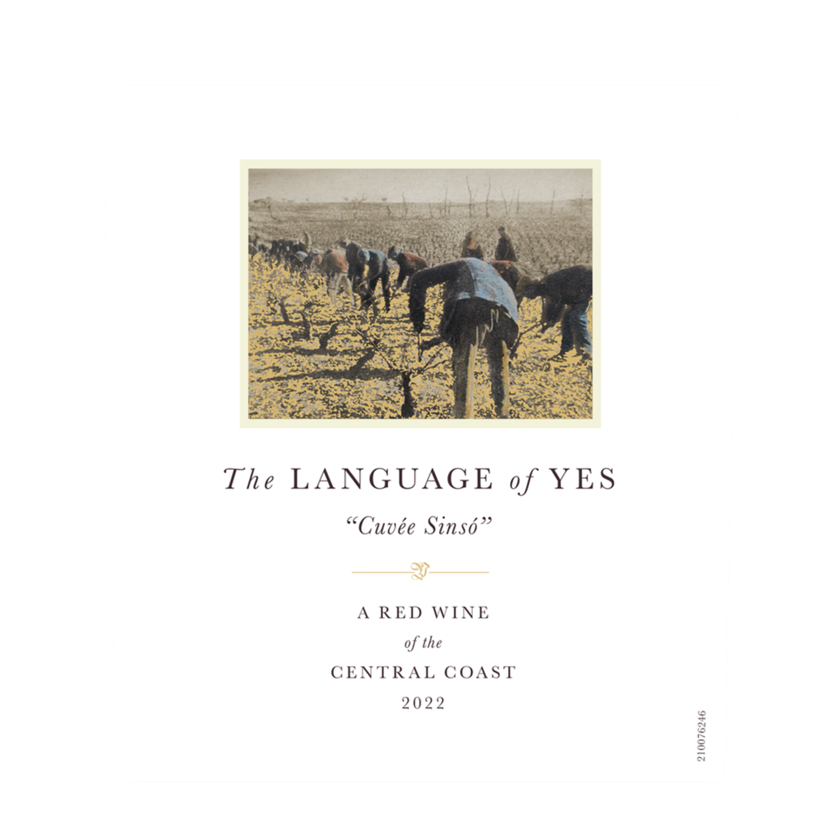 Randall Grahm The Language of Yes "Cuvee Sinso" A Red Wine of the Central Coast 2022