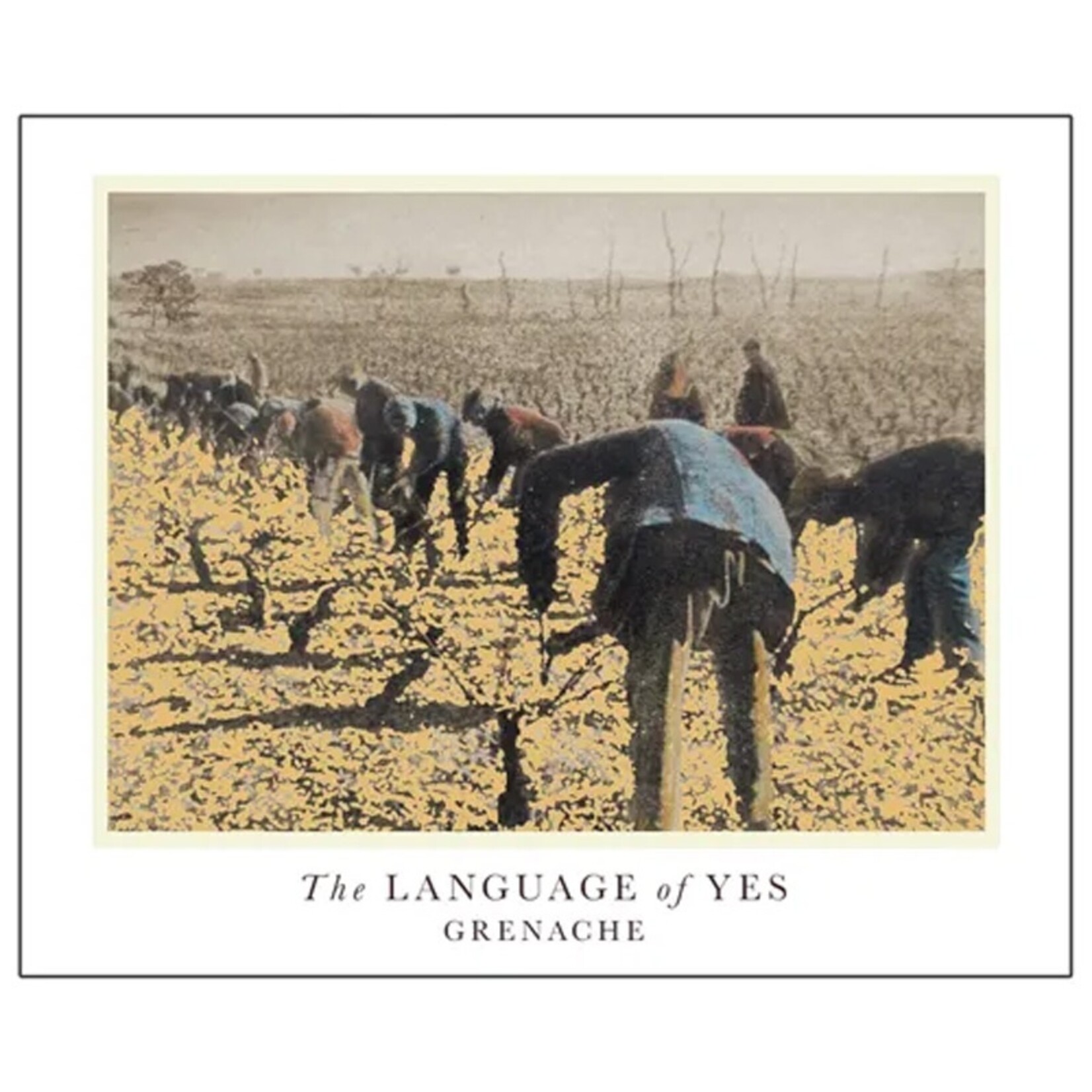 Randall Grahm The Language of Yes Grenache 2022