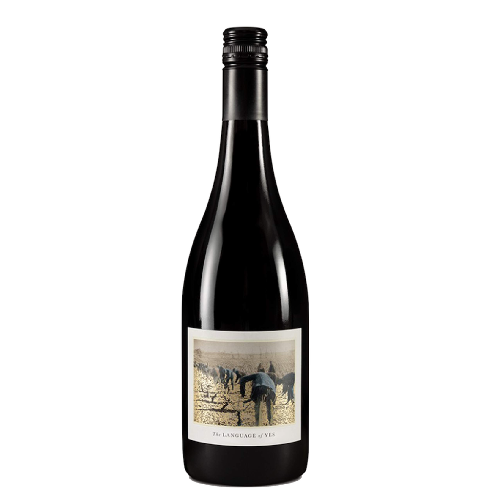 Randall Grahm The Language of Yes Grenache 2022