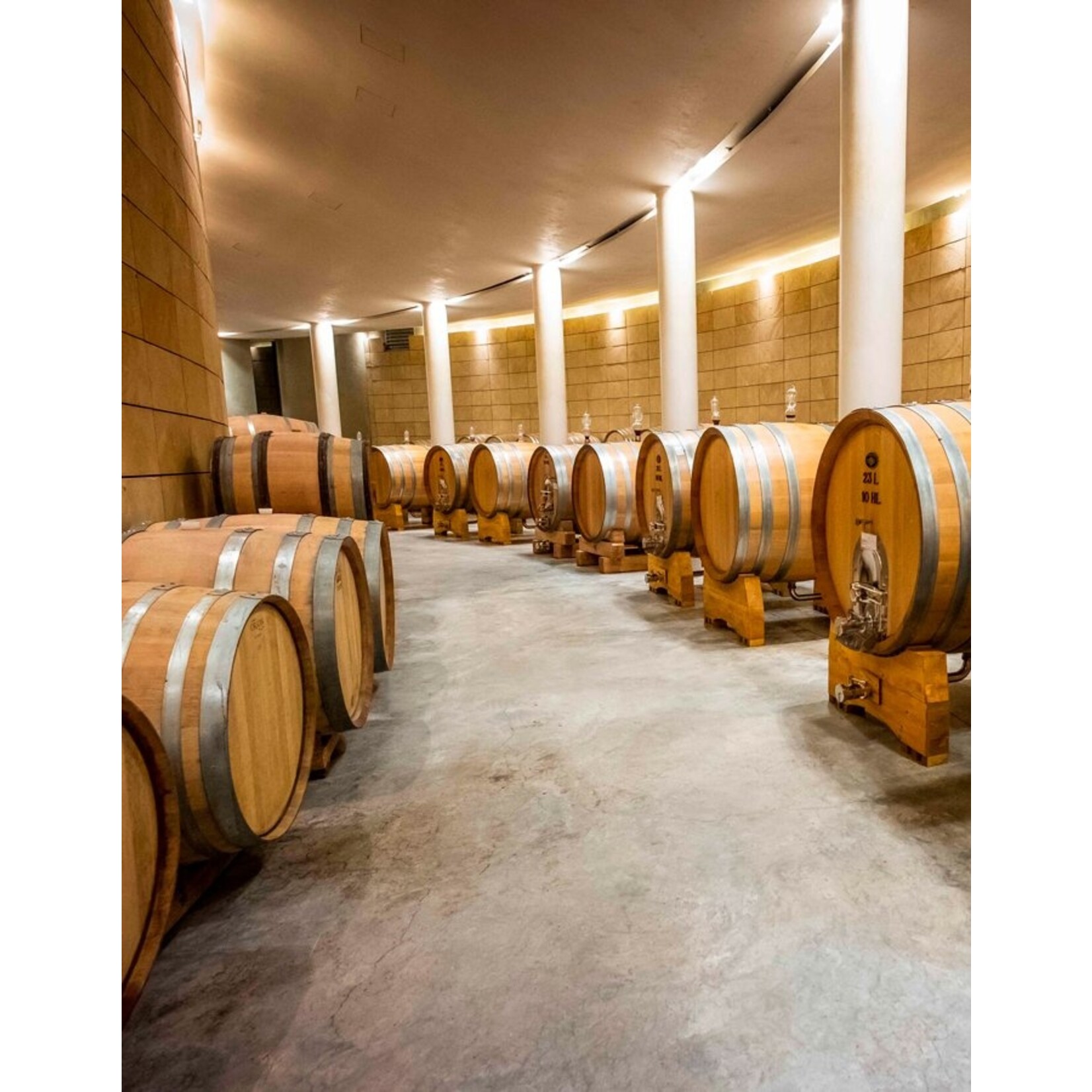 Poggio San Polo Brunello Di Montalcino 2019  Italy