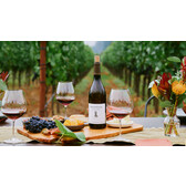 RouteStock Cabernet Sauvignon Napa Valley 2022 - Western Reserve Wines
