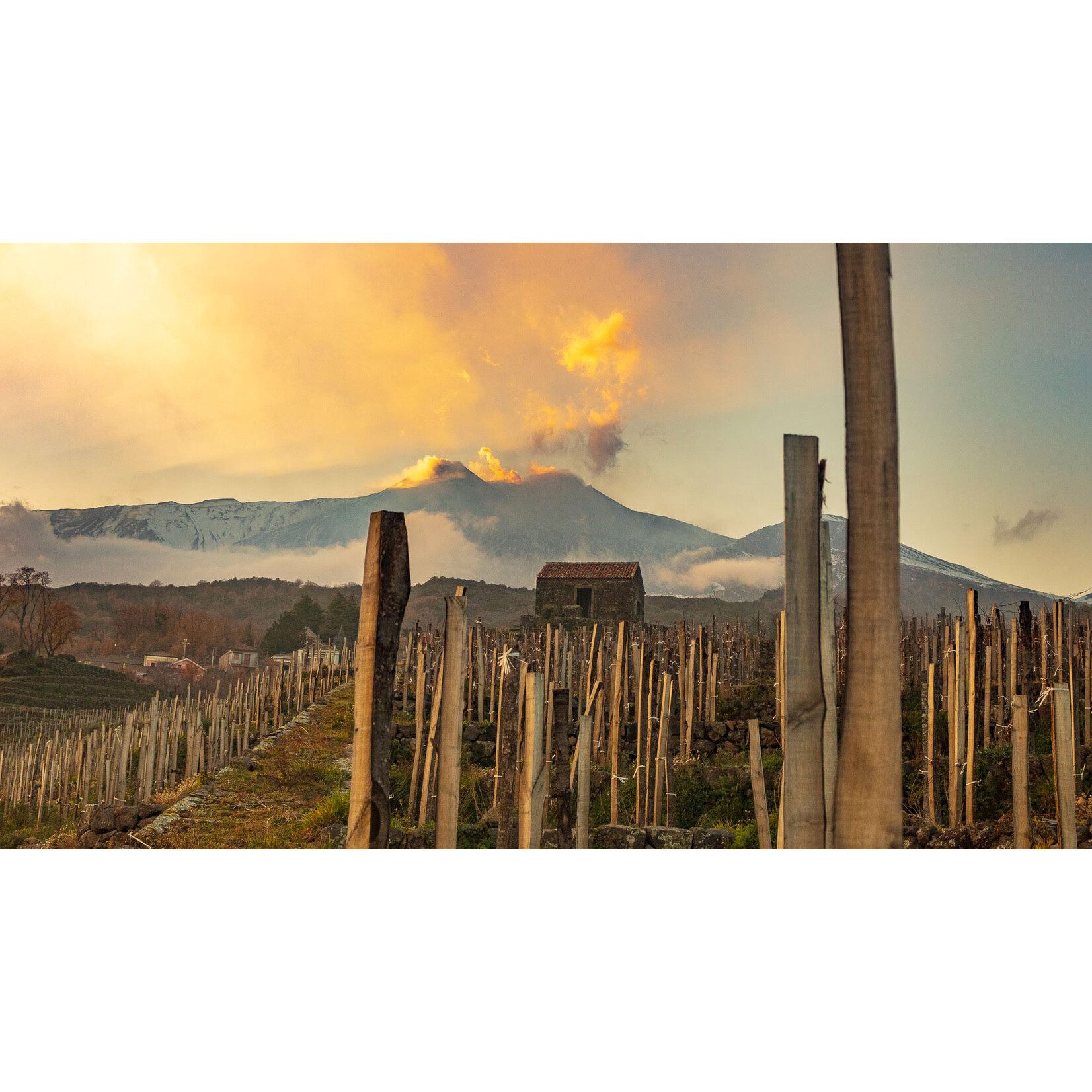 Benanti Benanti Etna Bianco 2025