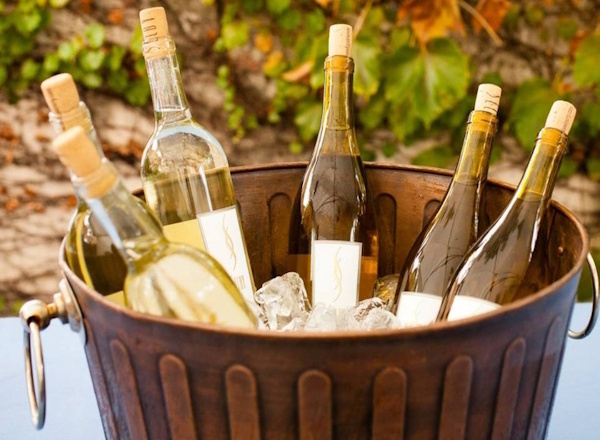 A Taste of Excellence: Exploring Susie Selby's Winemaking