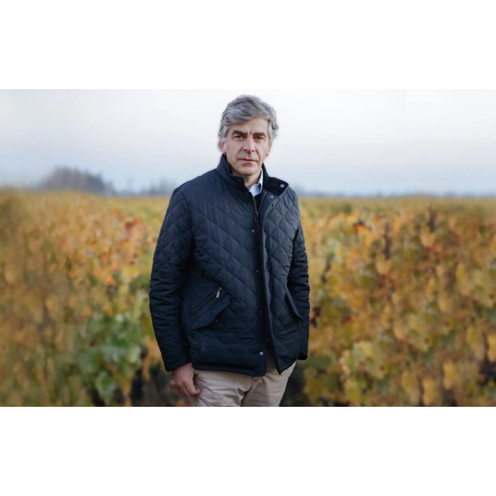 Vina Don Melchor SpA Don Melchor Cabernet Sauvignon  2021 Puente Alto Vineyard Chile