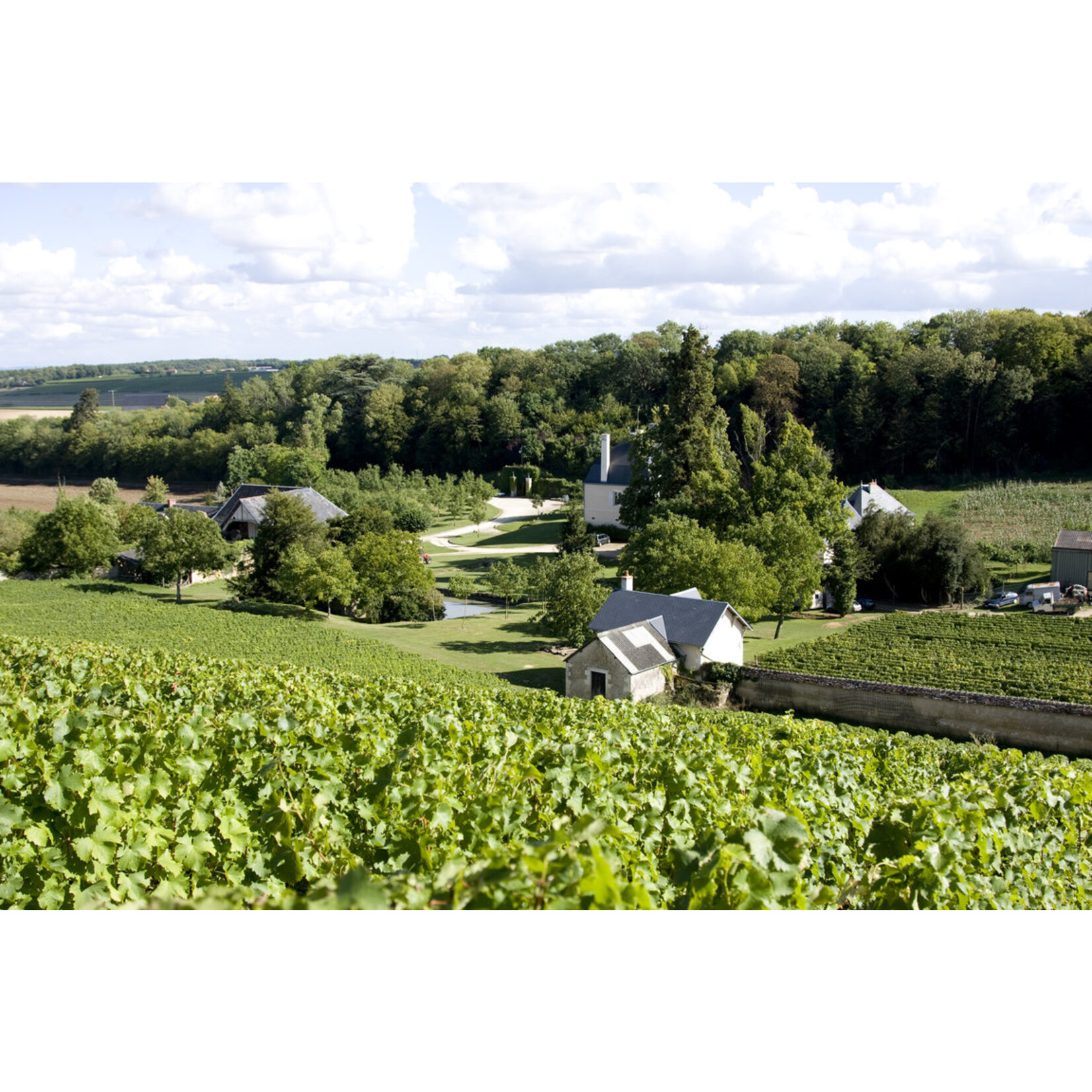 Domaine du Nozay Domaine du Nozay La Plante Froide Sancerre 2023