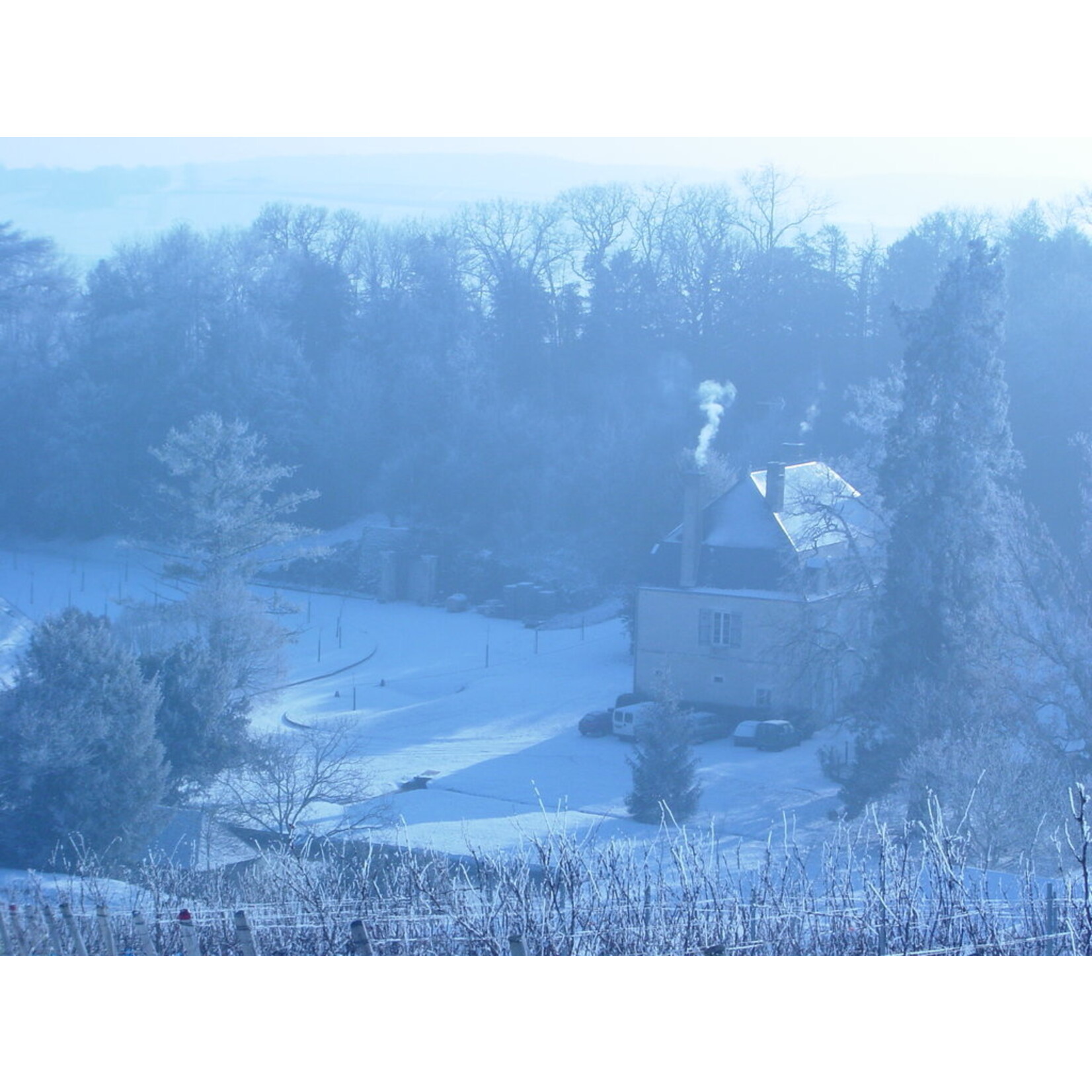Domaine du Nozay Domaine du Nozay La Plante Froide Sancerre 2023