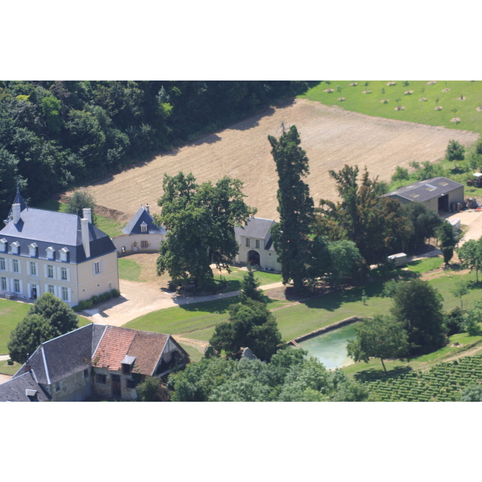 Domaine du Nozay Domaine du Nozay La Plante Froide Sancerre 2023