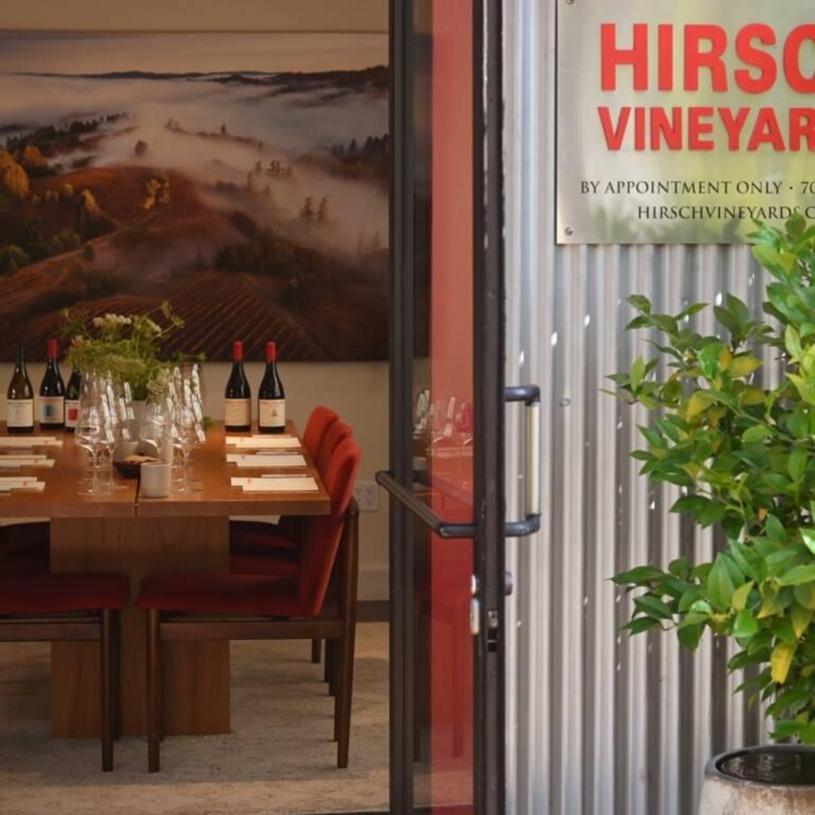 Hirsch Vineyards Hirsch Vineyards San Andreas Fault Pinot Noir 2022