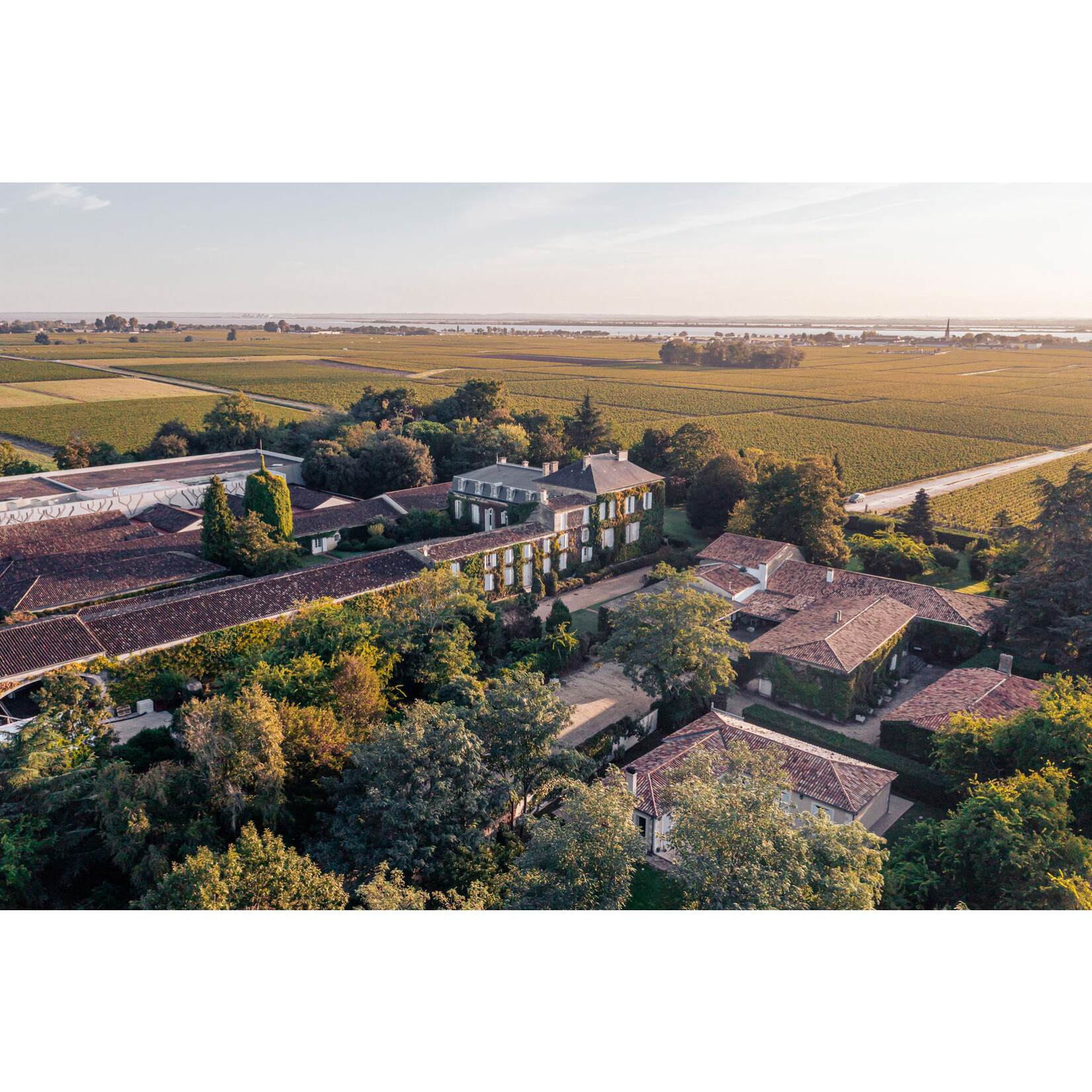 Chateau Talbot Chateau Talbot Saint-Julien 2020