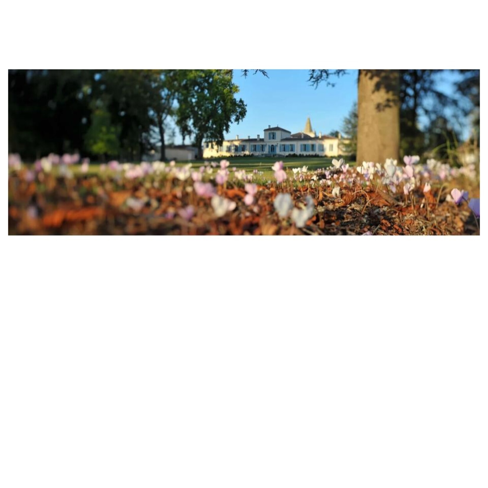 Fourcas-Hosten Chateau Fourcas Hosten Medoc 2019