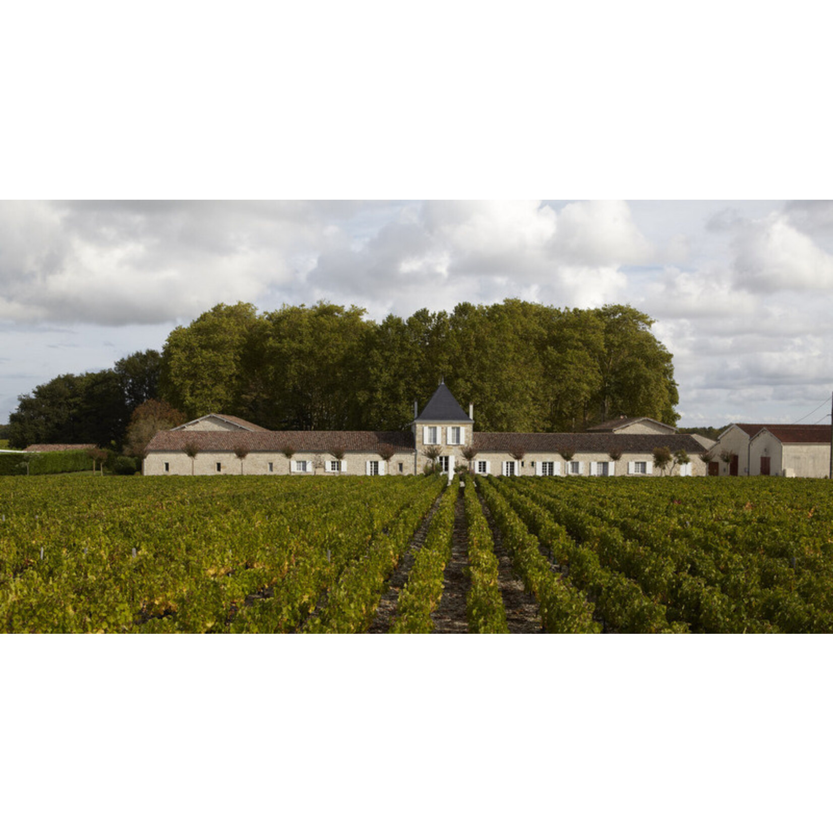 Chateau de Panigon Chateau de Panigon Medoc Cru Bourgeois 2018