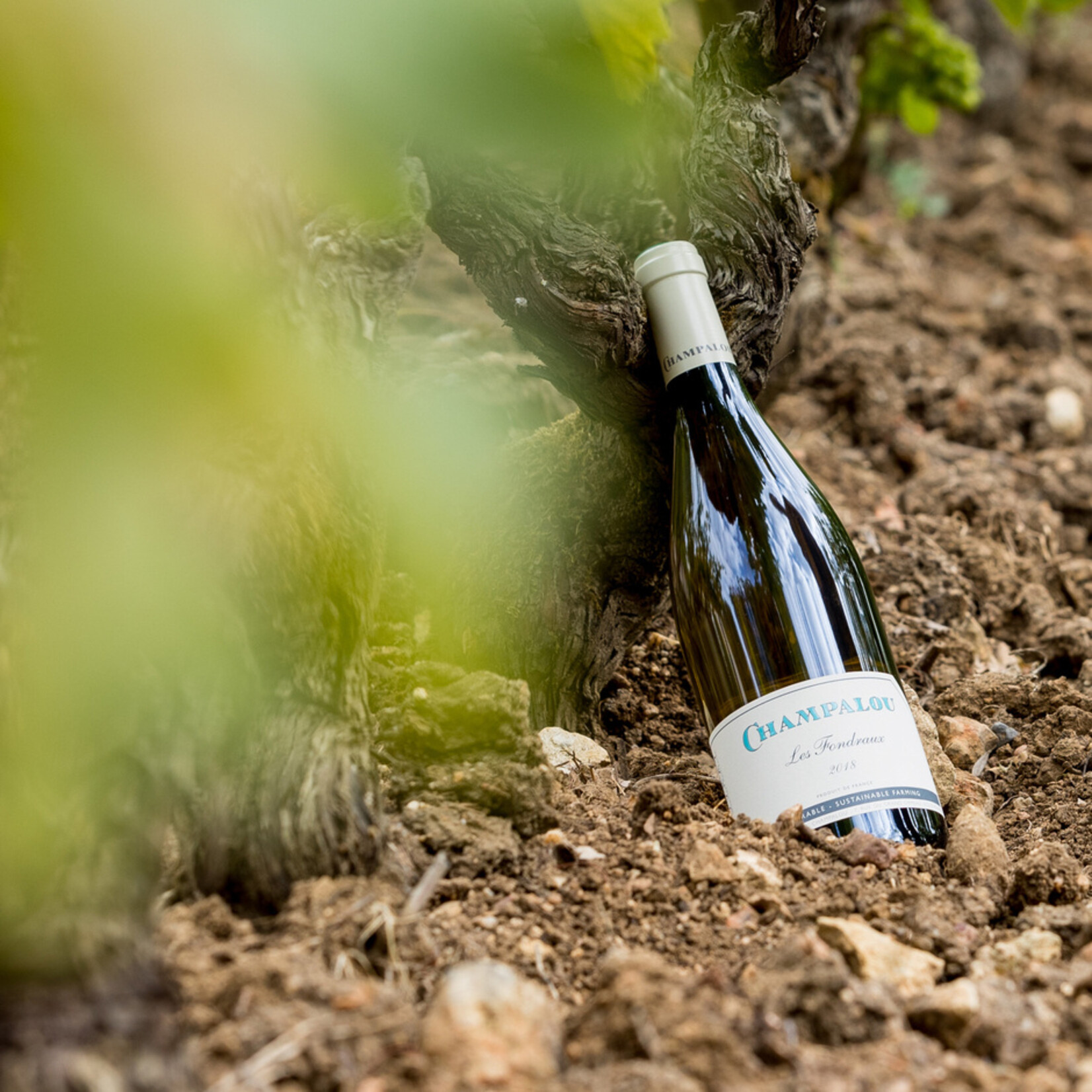 Domaine Champalou Vouvray La Cuvee des Fondraux 2023