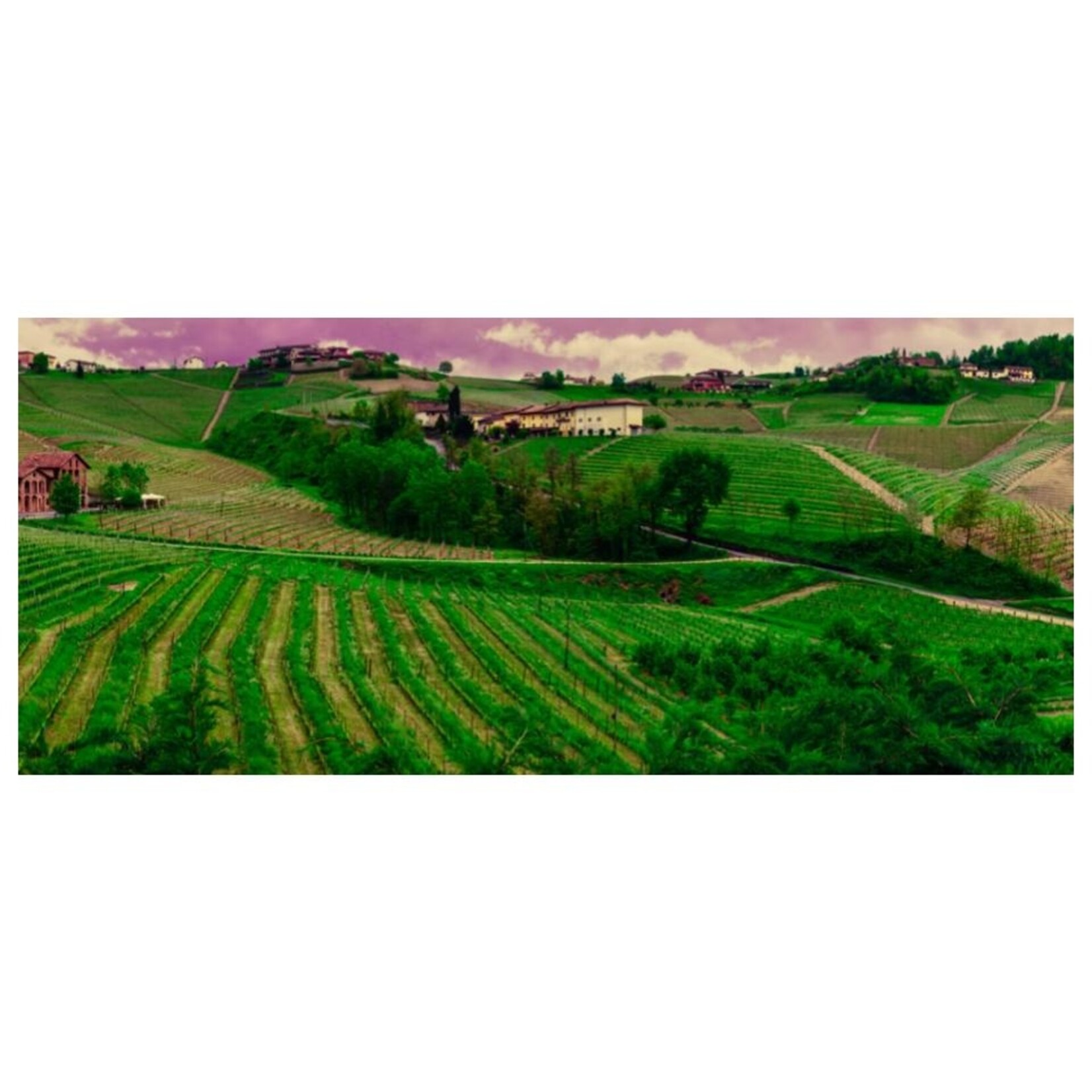 Daniele Conterno Daniele Conterno Langhe Rosato 2024