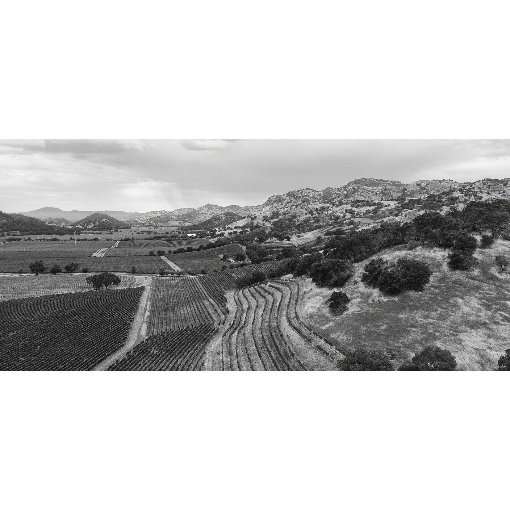 Venge Venge Silencieux Cabernet Sauvignon 2022