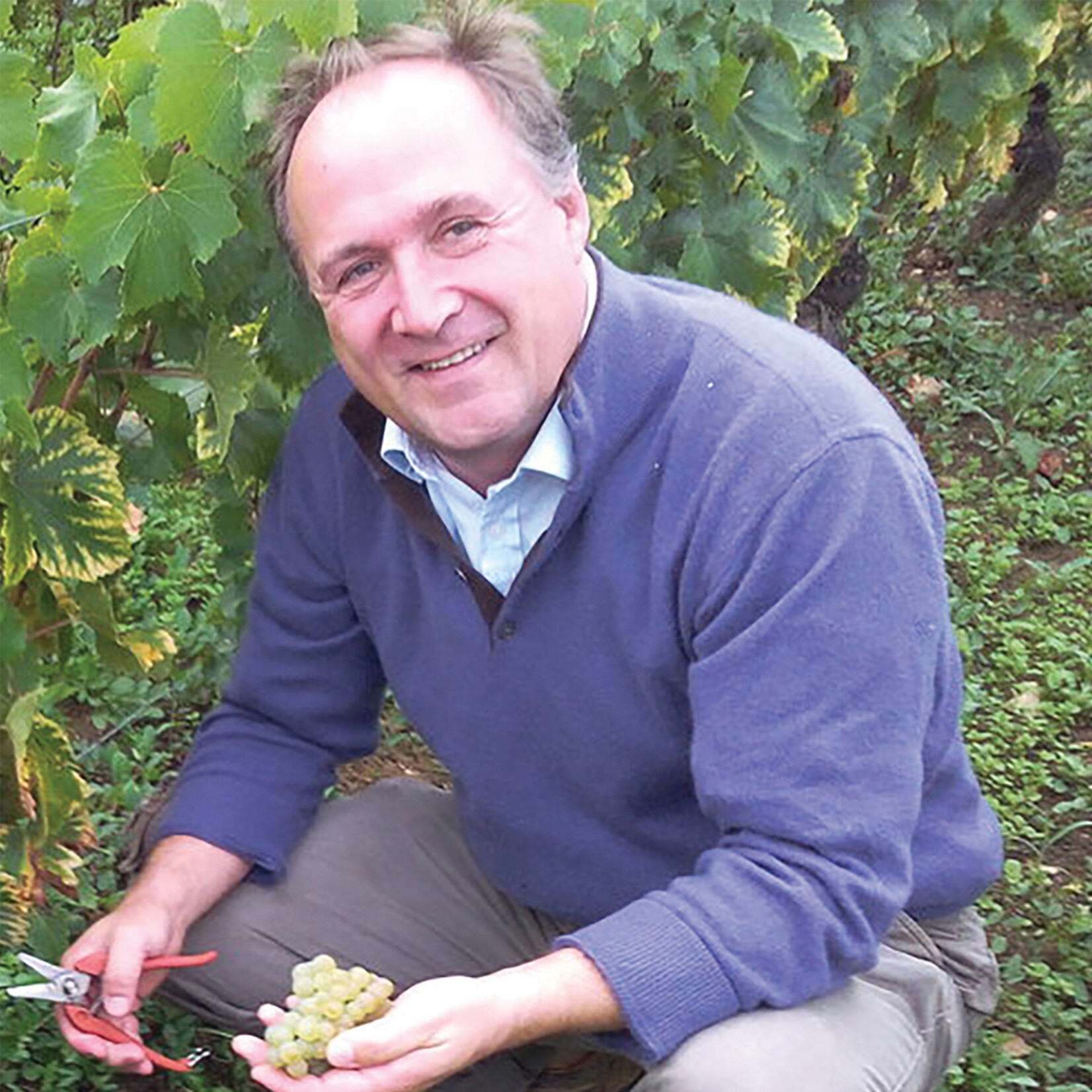 Domaines Leflaive Domaines Leflaive Macon-Verzé 2023