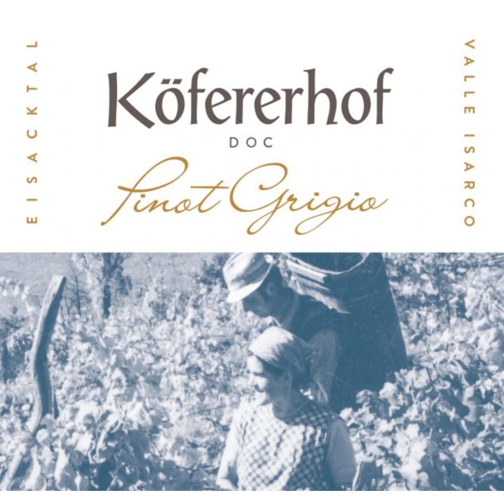 Kofererhof Tenuta Kofererhof Pinot Grigio 2023