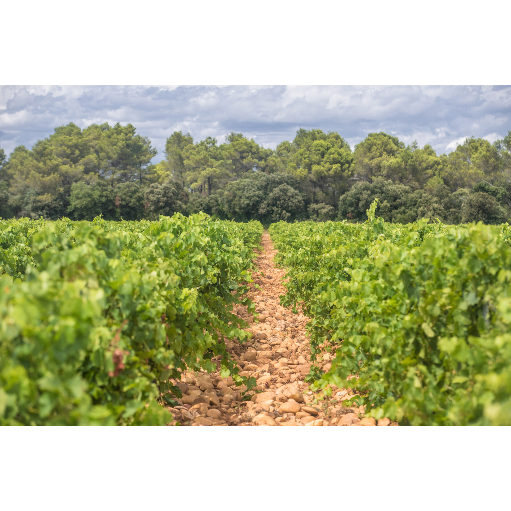 Alain Jaume Alain Jaume Clos de Sixte Lirac 2020