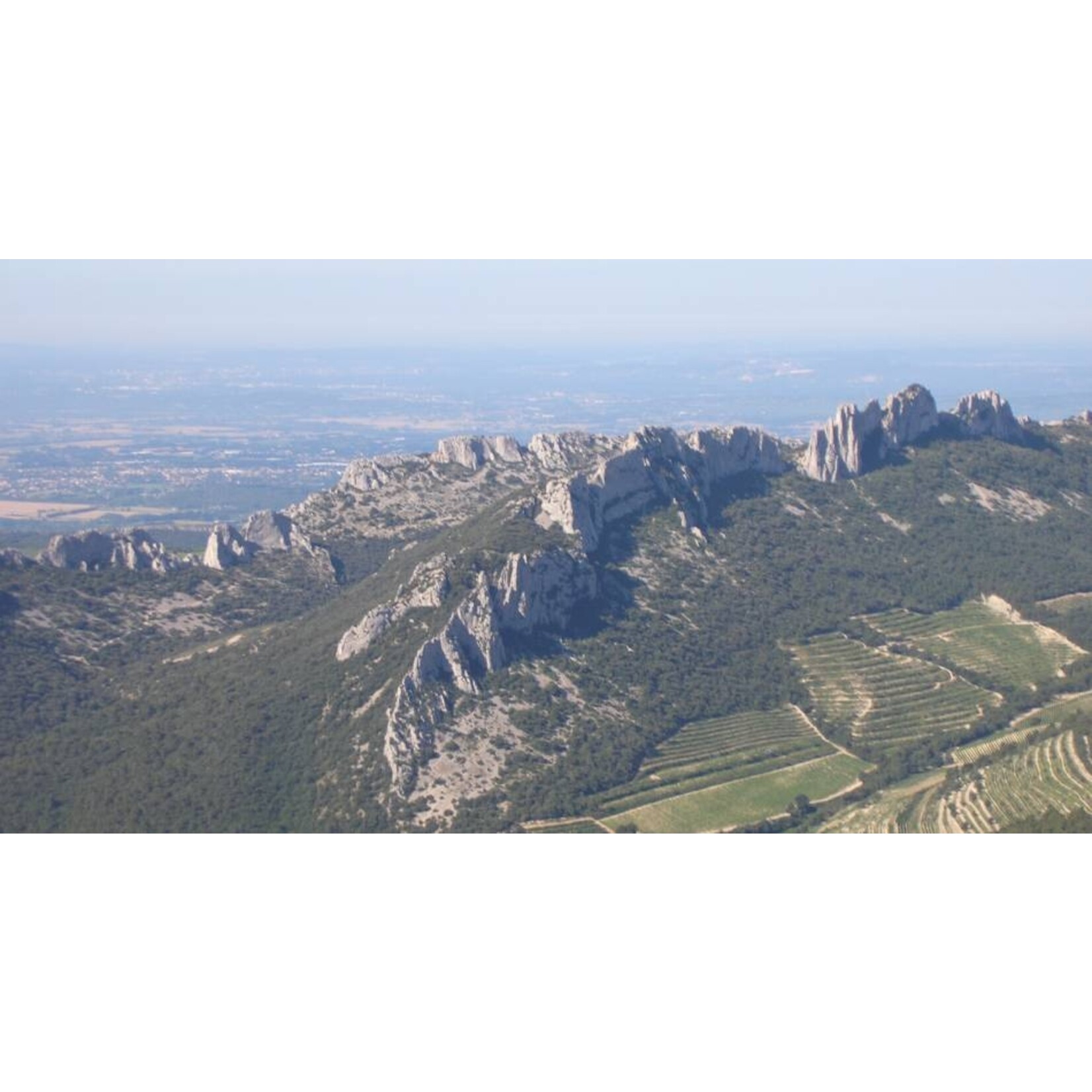 Alain Jaume Alain Jaume Terrassas de Montmirail Gigondas 2020