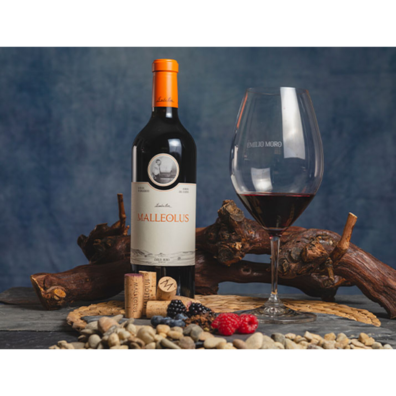 Bodegas Emilio Moro Bodegas Emilio Moro Malleolus 2022 Ribera Del Duero, Spain