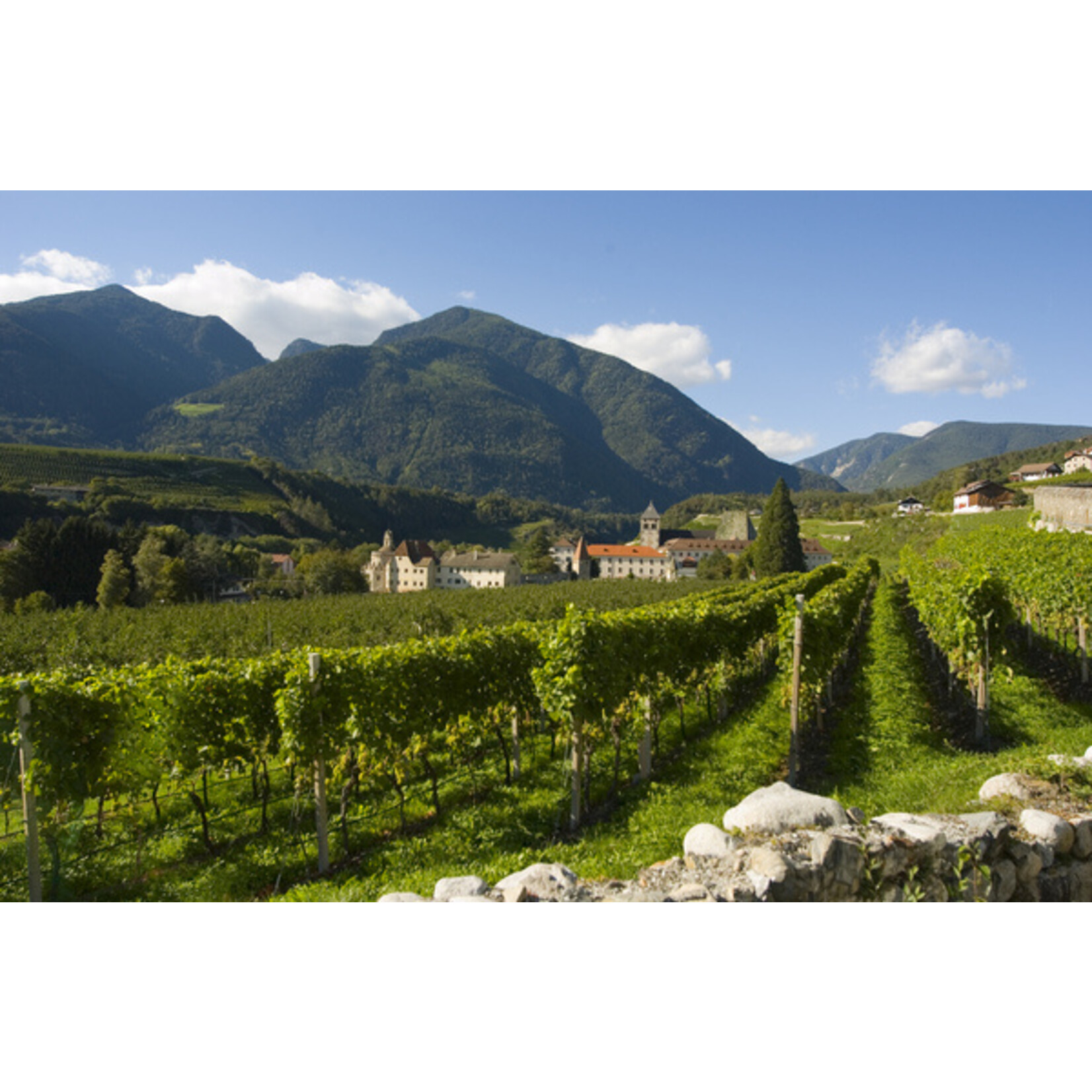 Abbazia Di Novacella Abbazia di Novacella Praepositus Riesling 2022