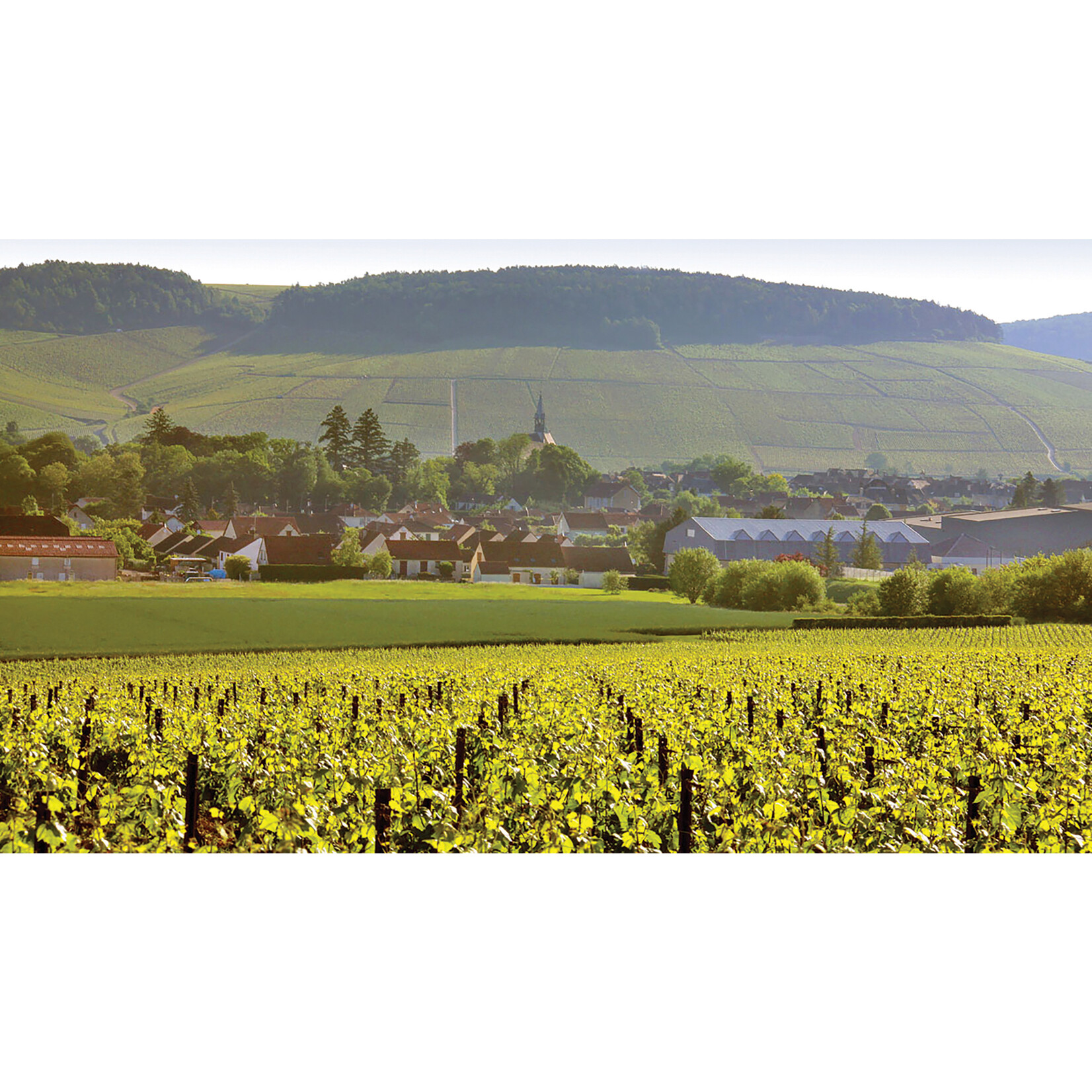 Domaine Laroche Domaine Laroche Chablis Vieille Voye 2022
