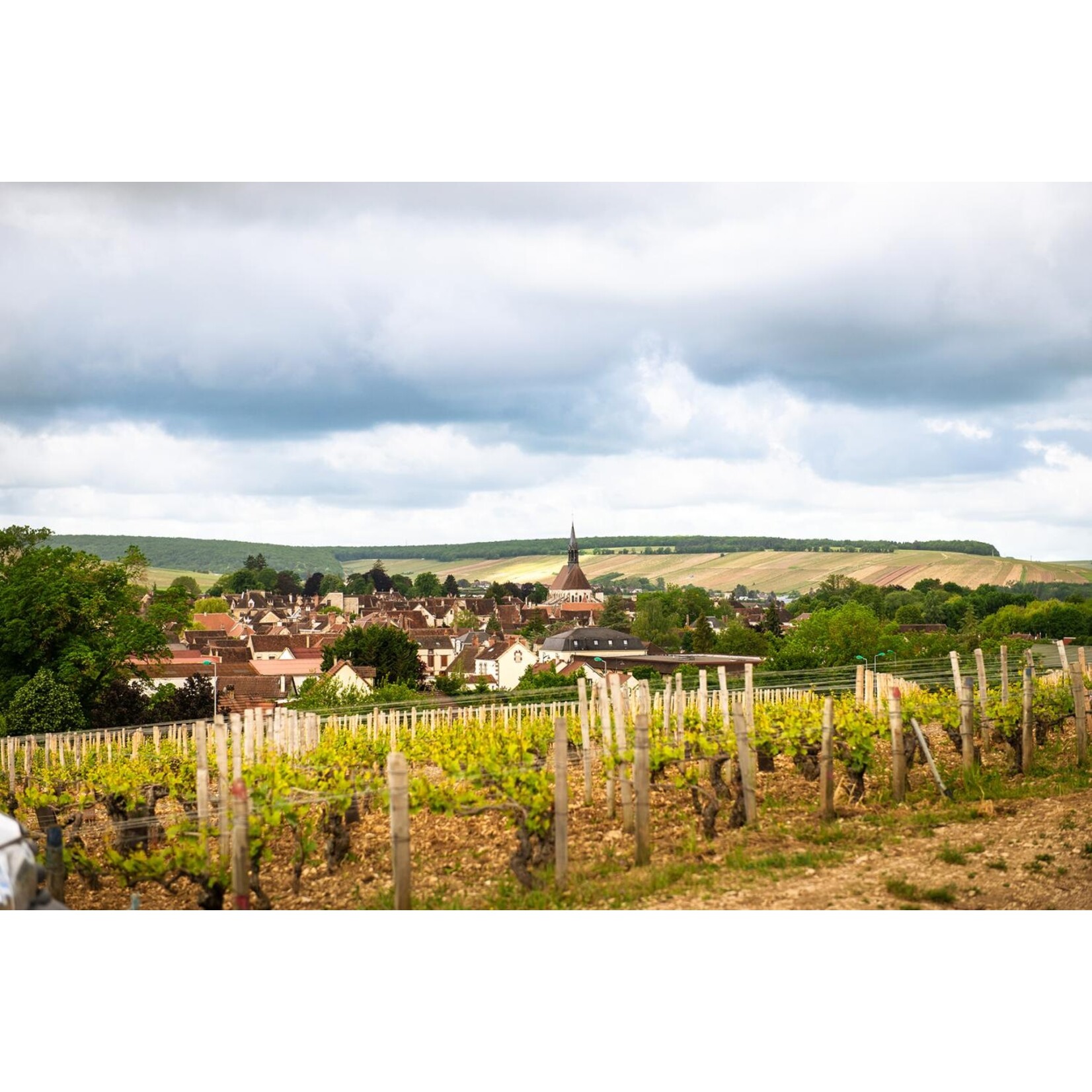 Domaine Laroche Domaine Laroche Les Fourchaumes Chablis Premier Cru 2023