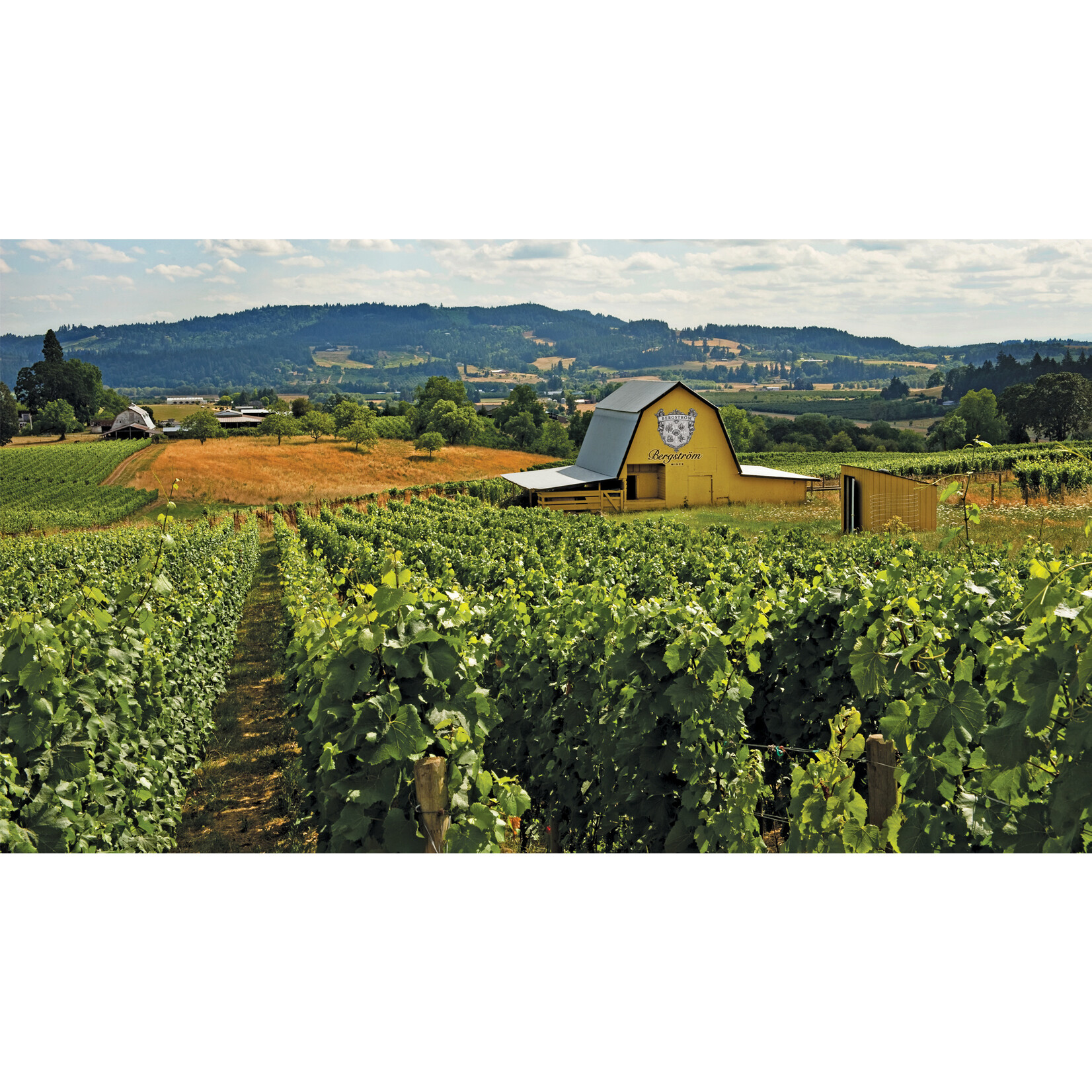 Bergstrom Bergstrom Cumberland Reserve Pinot Noir 2023