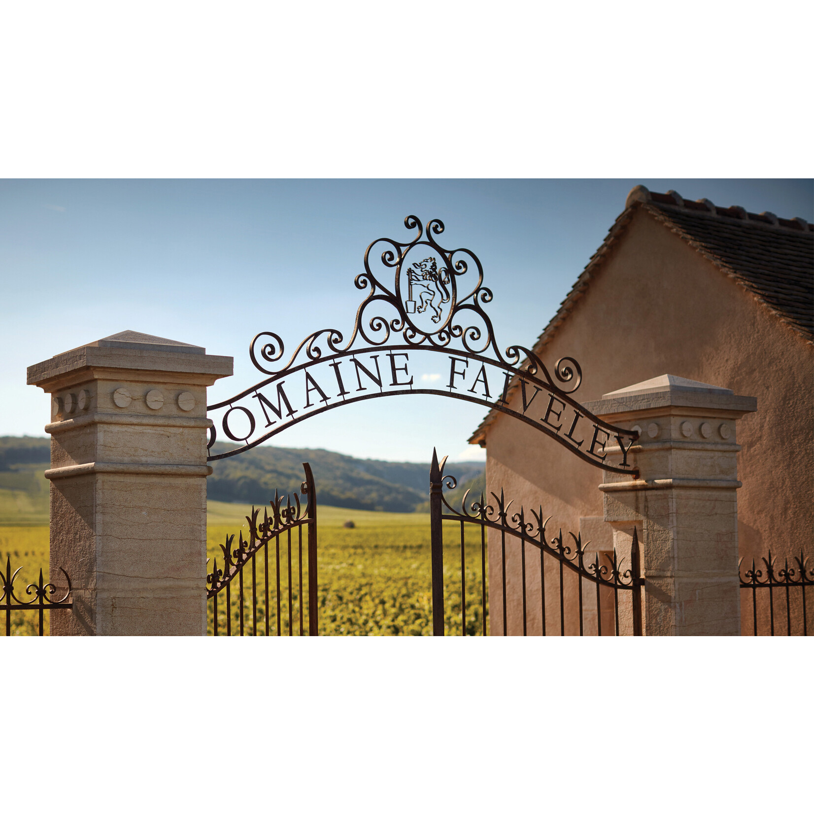 Domaine Faiveley Domaine Faiveley Gevrey-Chambertin "Vieilles Vignes" 2023
