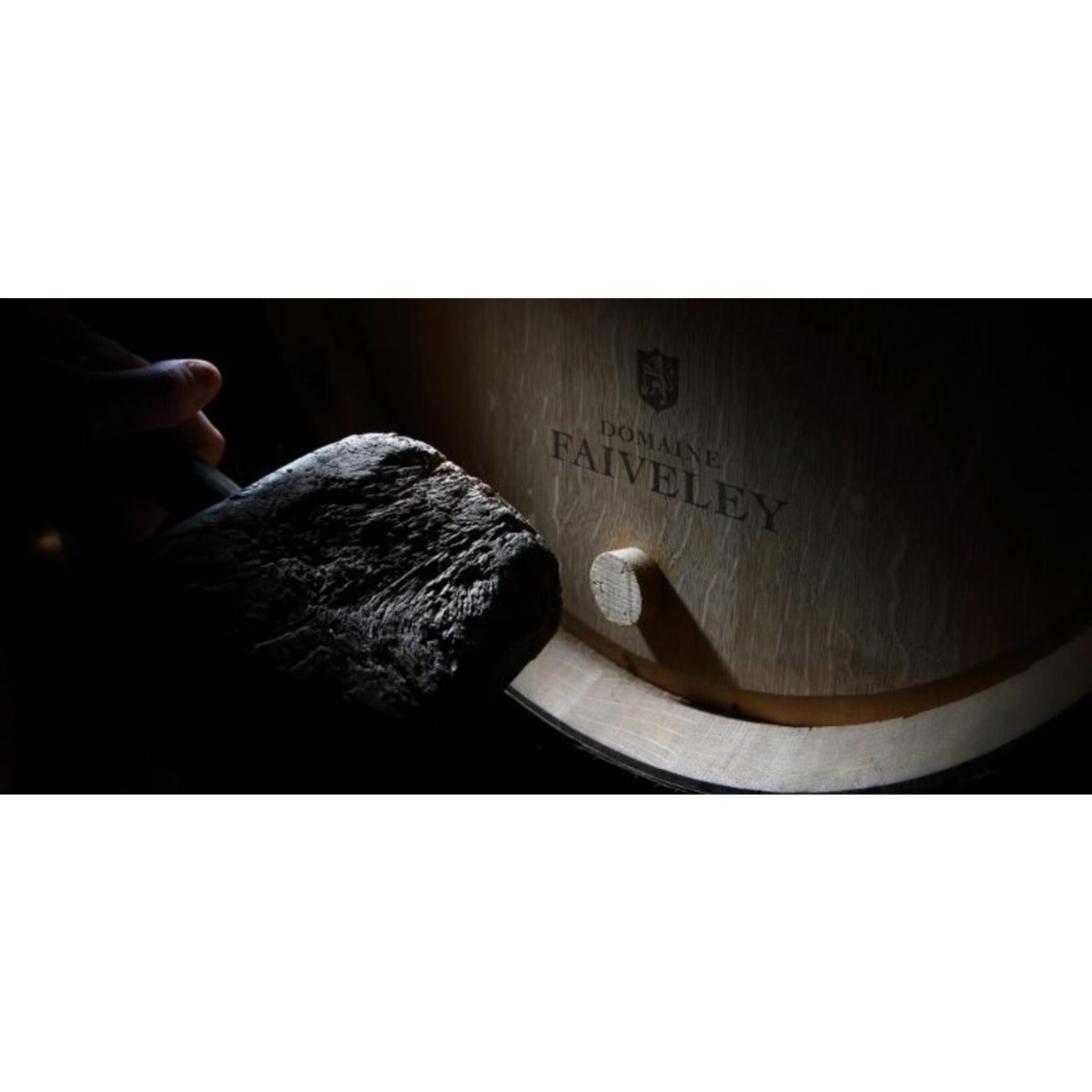 Domaine Faiveley Domaine Faiveley Givry Champ Lalot 2023