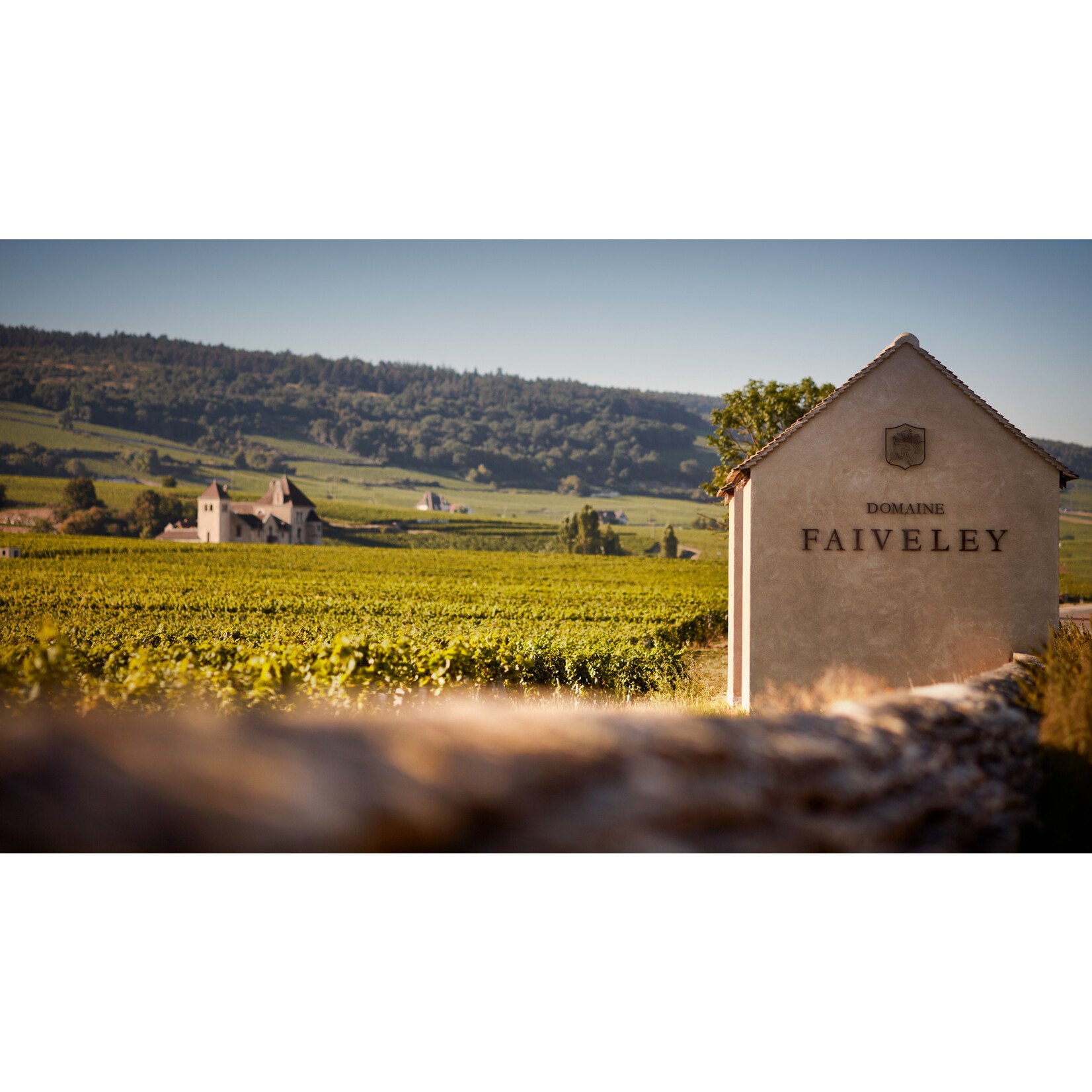 Domaine Faiveley Faiveley Vosne-Romanée 2023