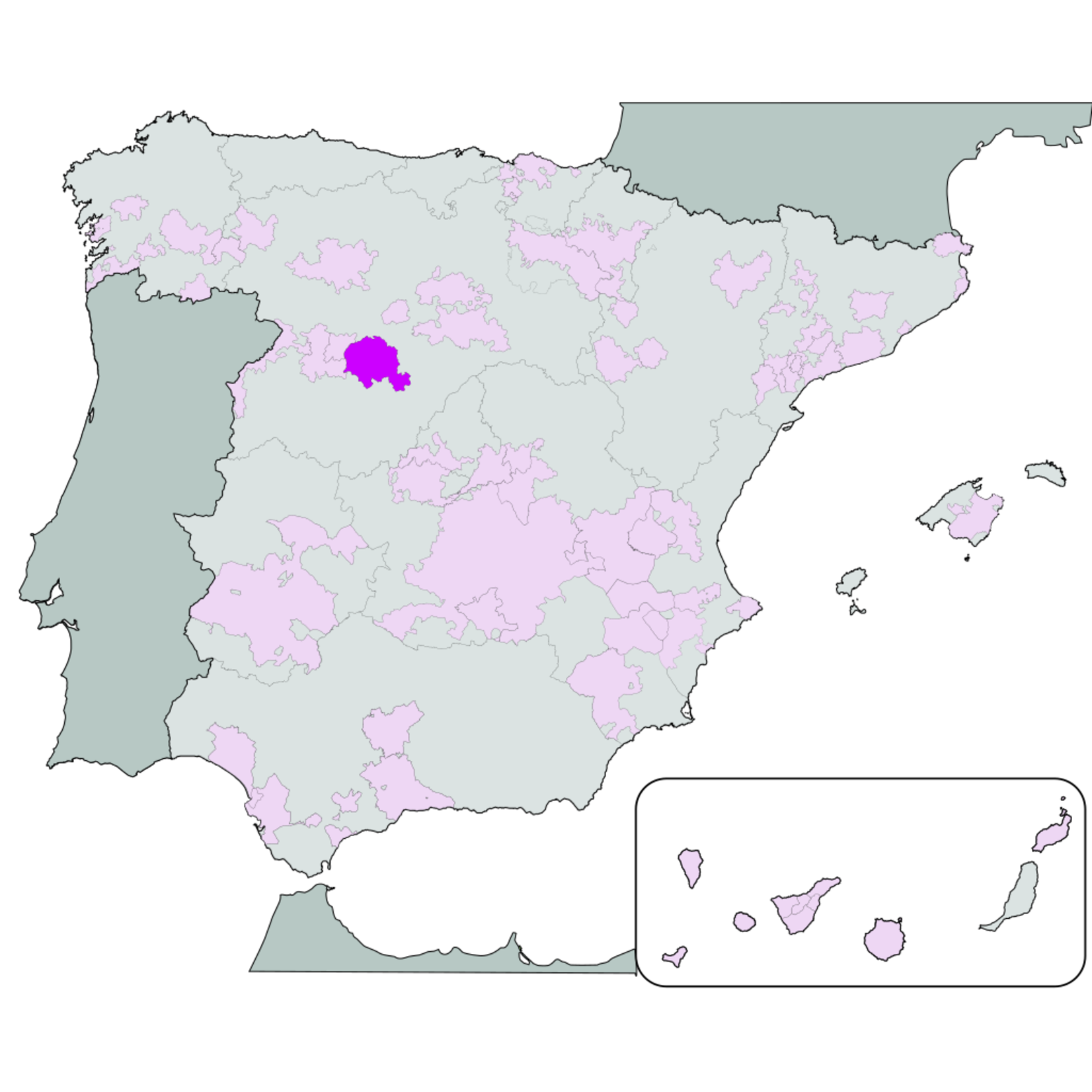Jorge Ordoñez Selections Nisia Las Suertes Rueda Verdejo Old Vines 2023