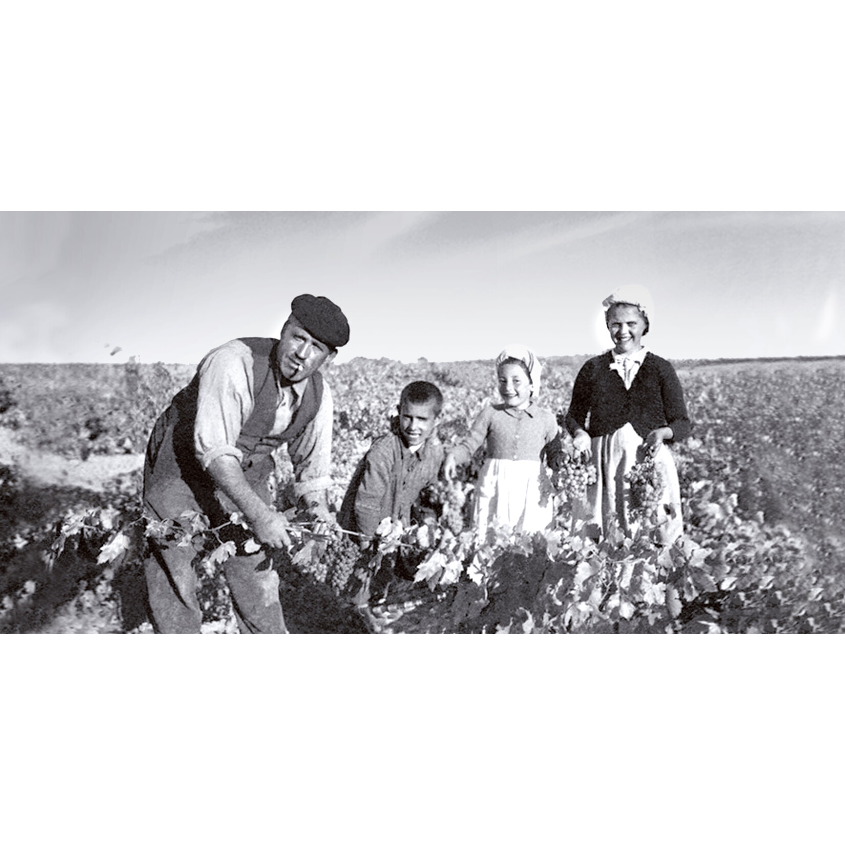 Bodegas Emilio Moro Bodegas Emilio Moro Ribera del Duero Tempranillo 2022