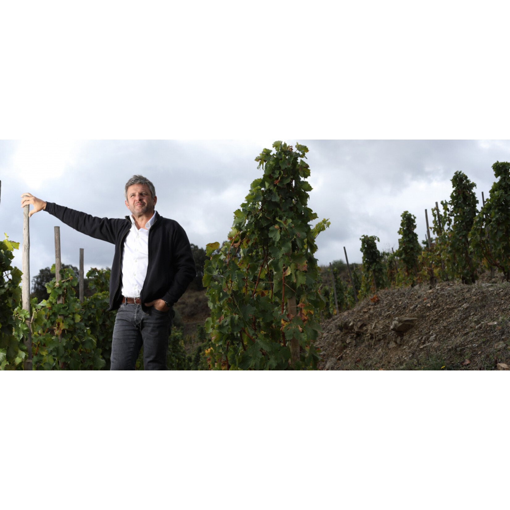 Alvaro Palacios Alvaro Palacios Priorat Les Terrasses Velles Vinyes 2022