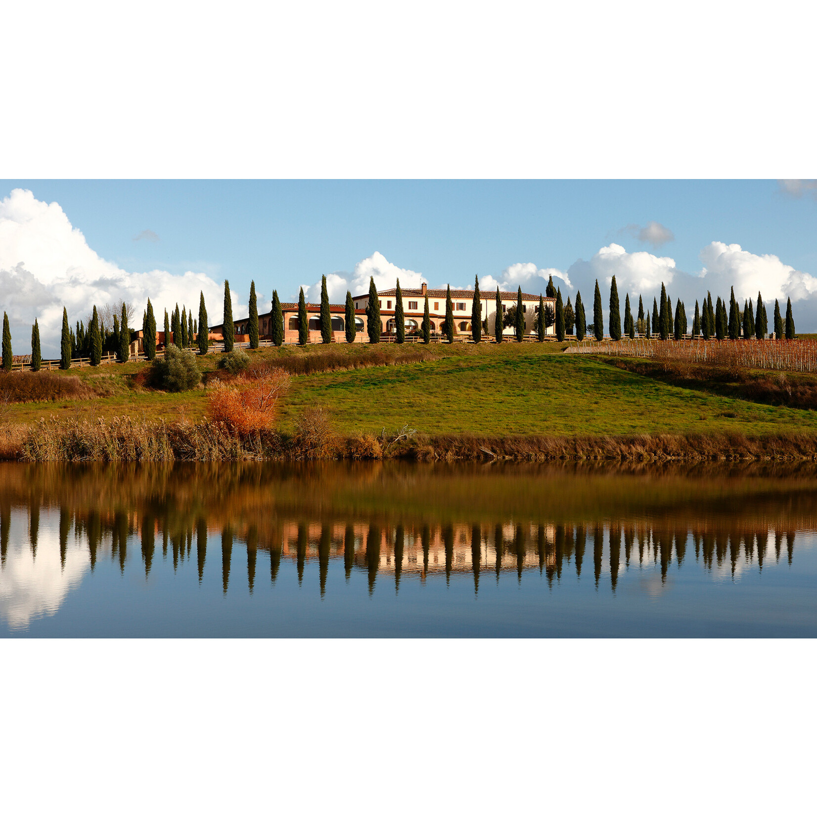 Val di Suga Val di Suga Brunello di Montalcino 2019