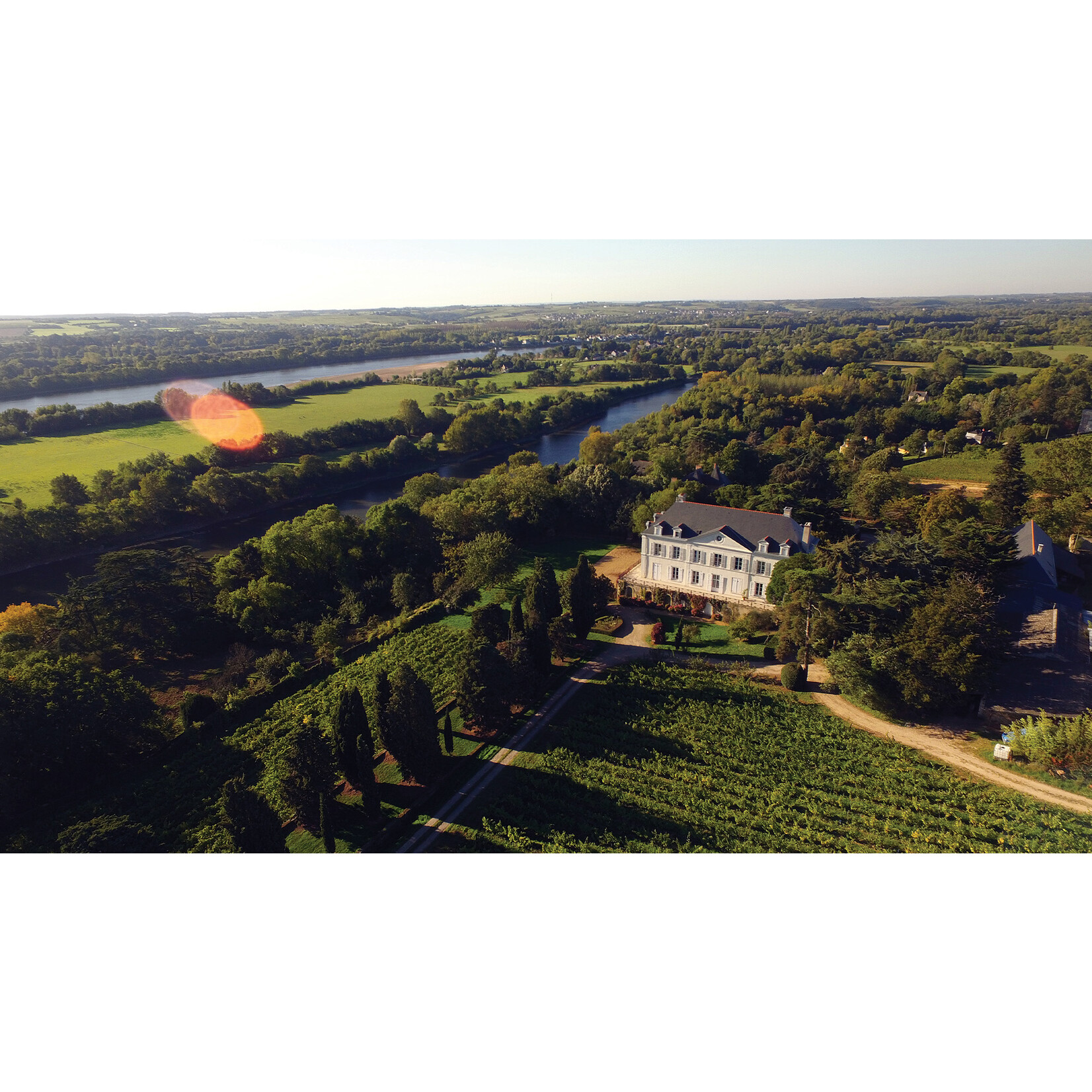 Famille Joly Famille Joly Les Vieux Clos Savennieres 2023