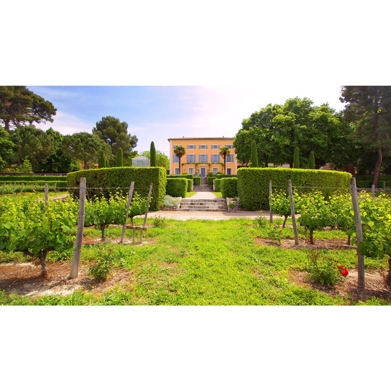 Mas la Chevaliere Mas La Chevaliere Chardonnay 2023