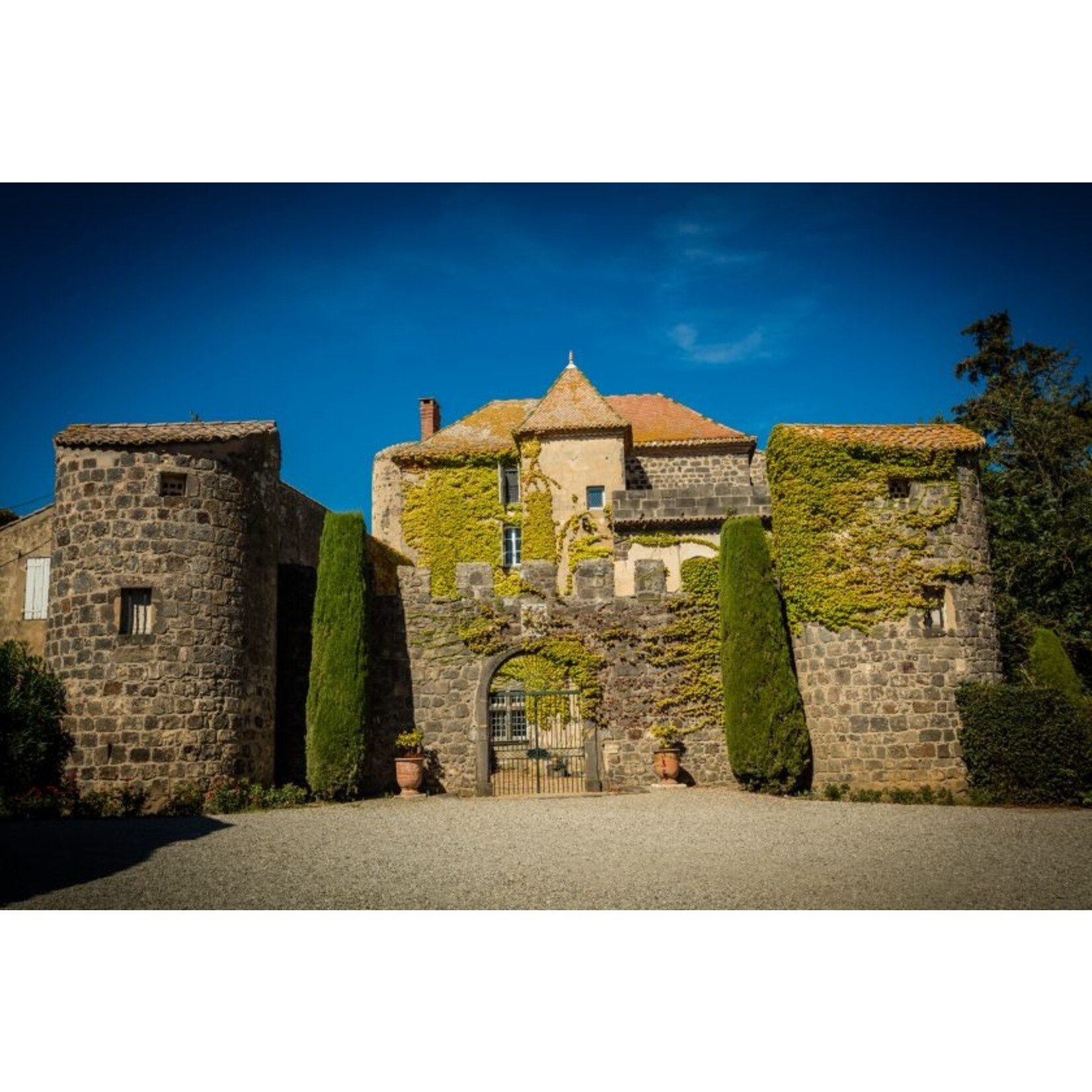 Comtesse Marion Comtesse Marion Viognier 2024